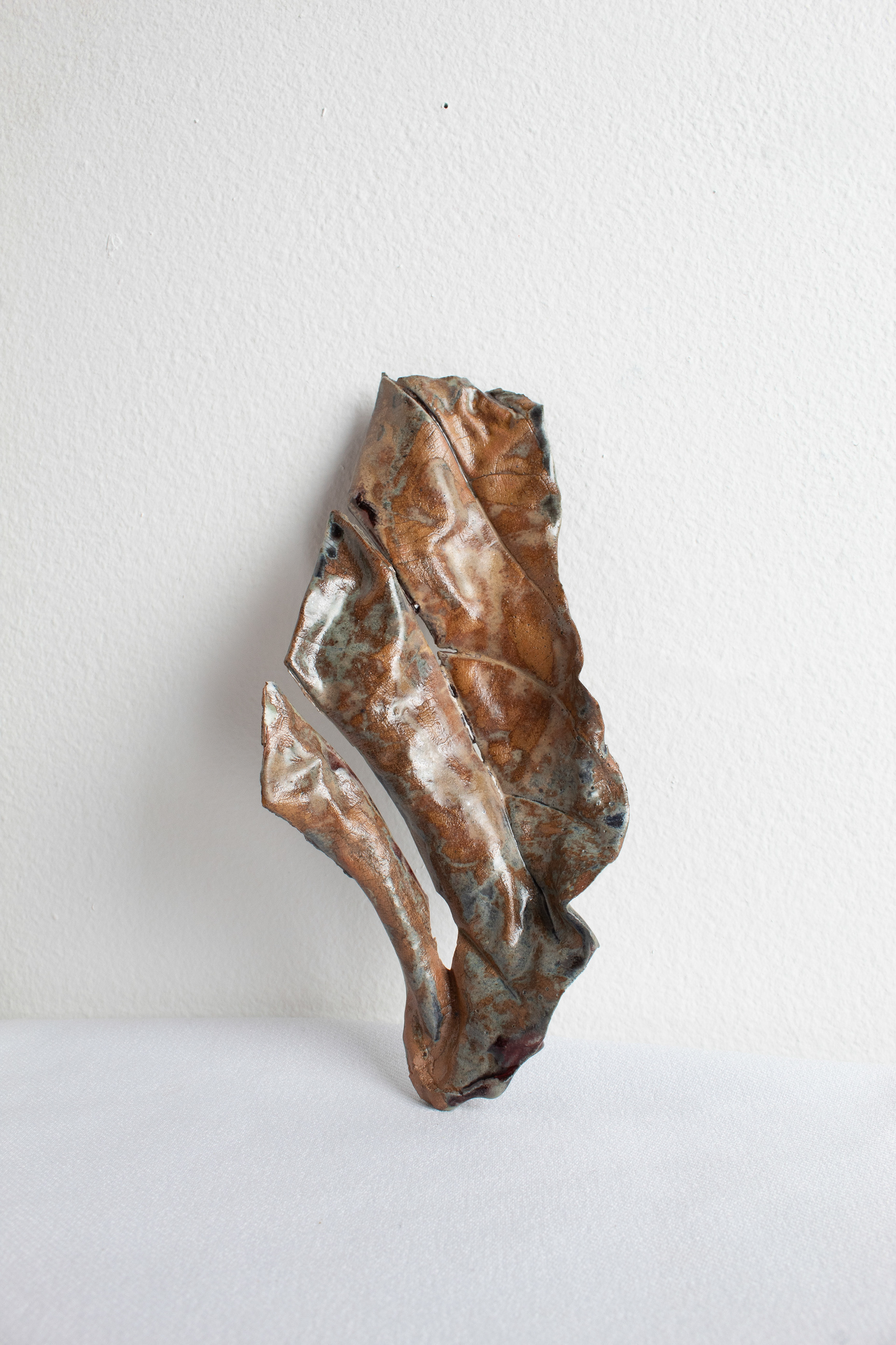 Fractures, 2026