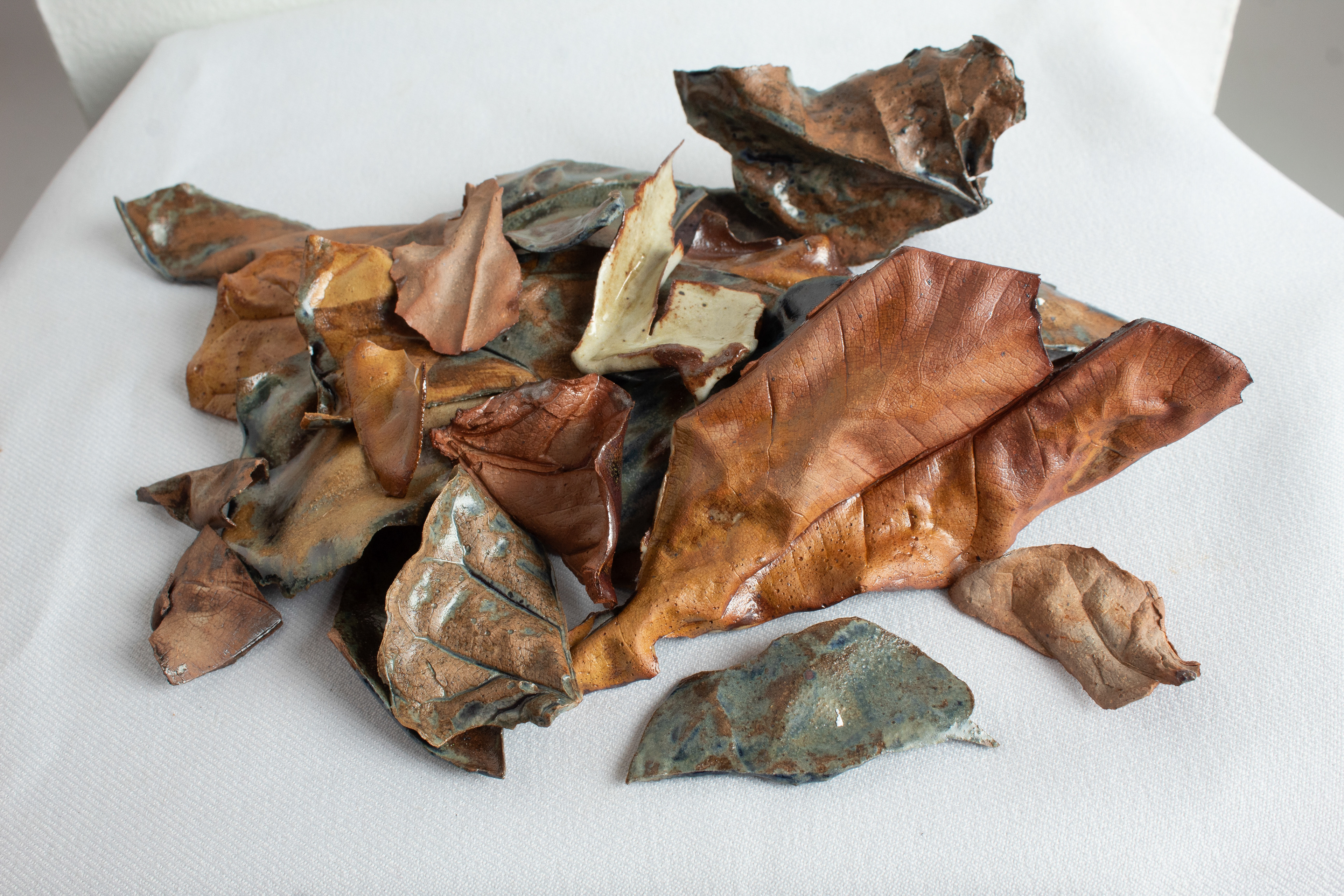 Detritus, assorted