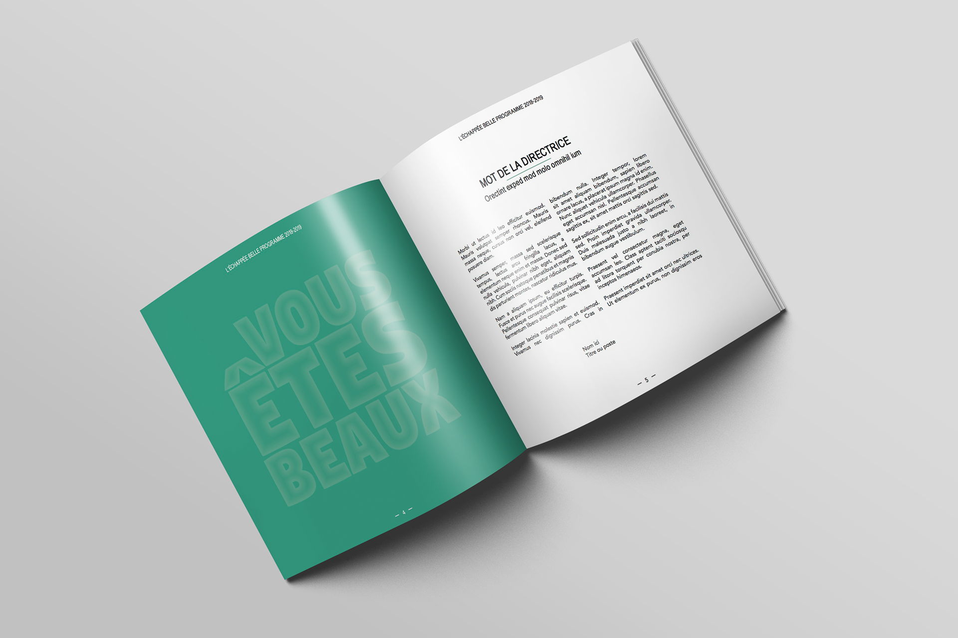 Pages d'introduction