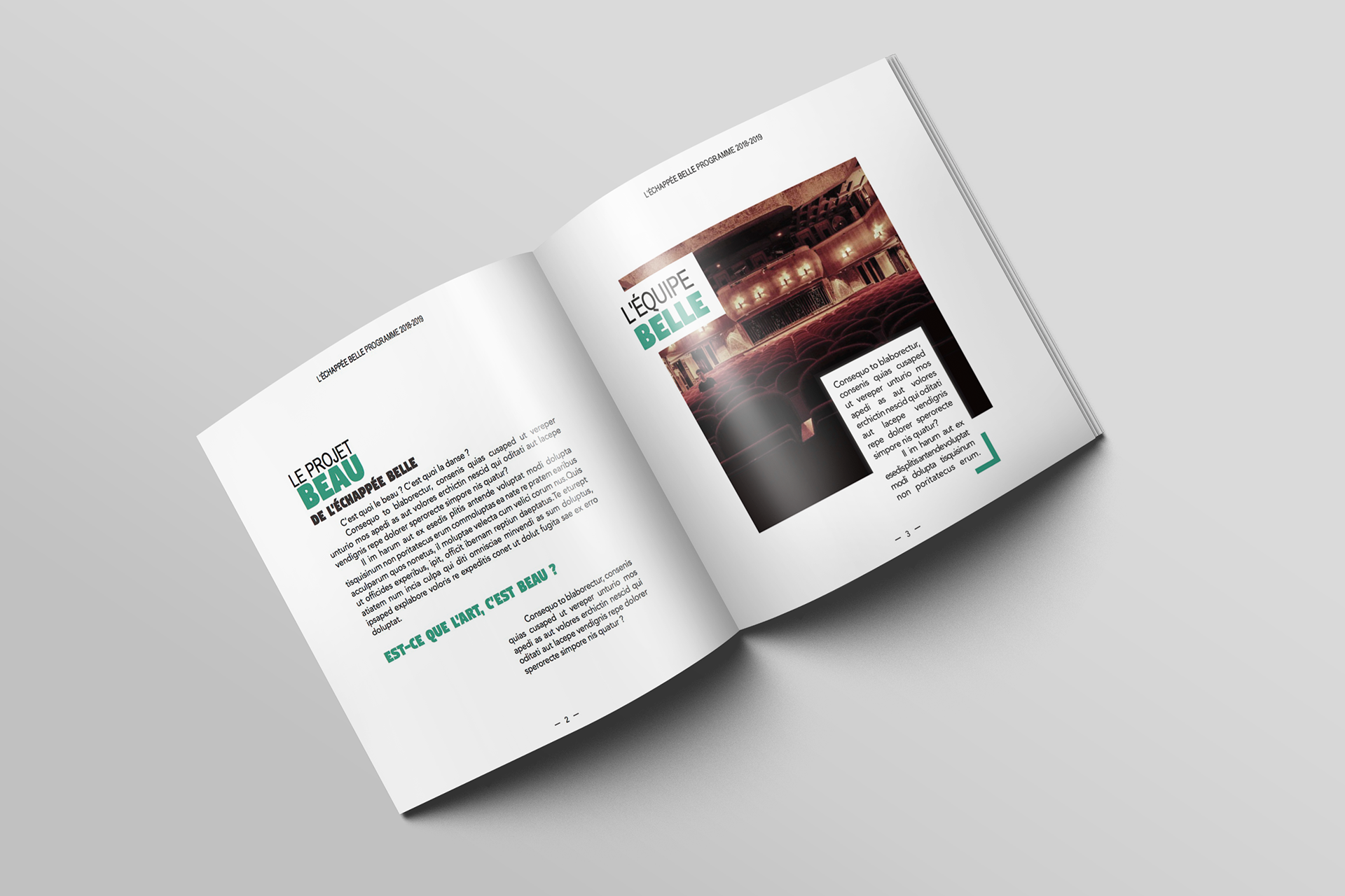 Pages d'introduction