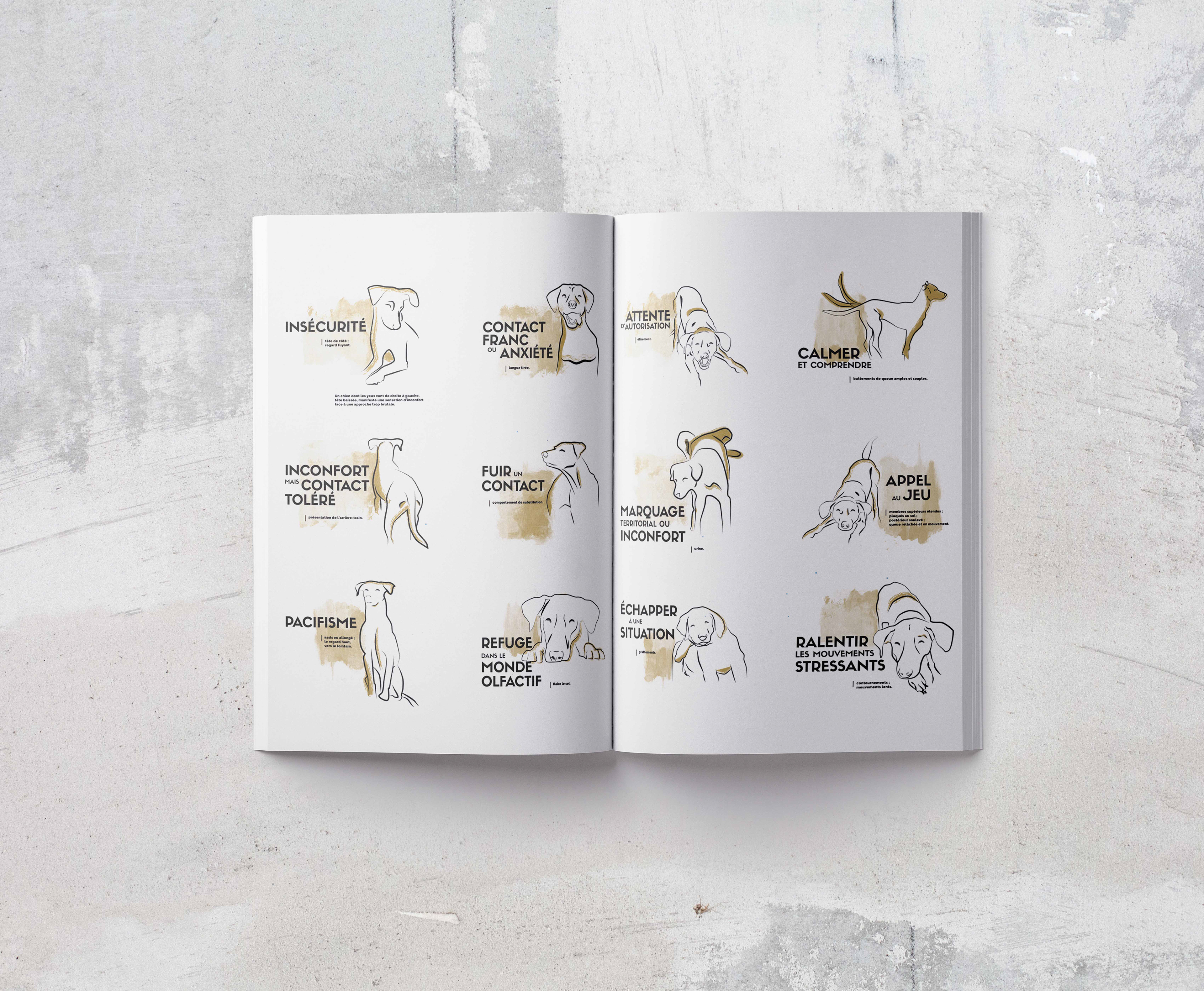 Illustrations des signaux de communication corporels chez le chien