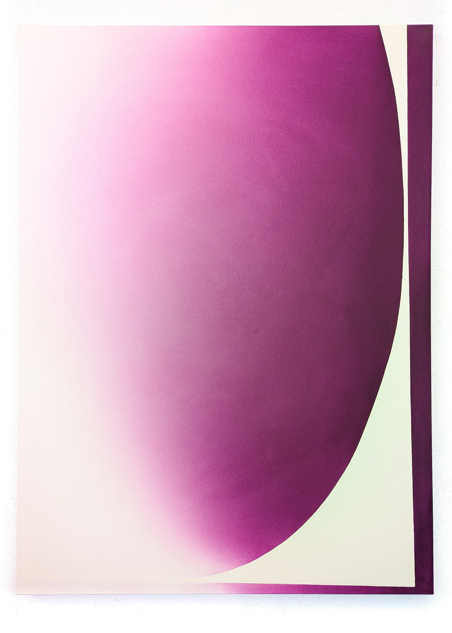 263      140 x 100 barwnik na bawełnie 2025