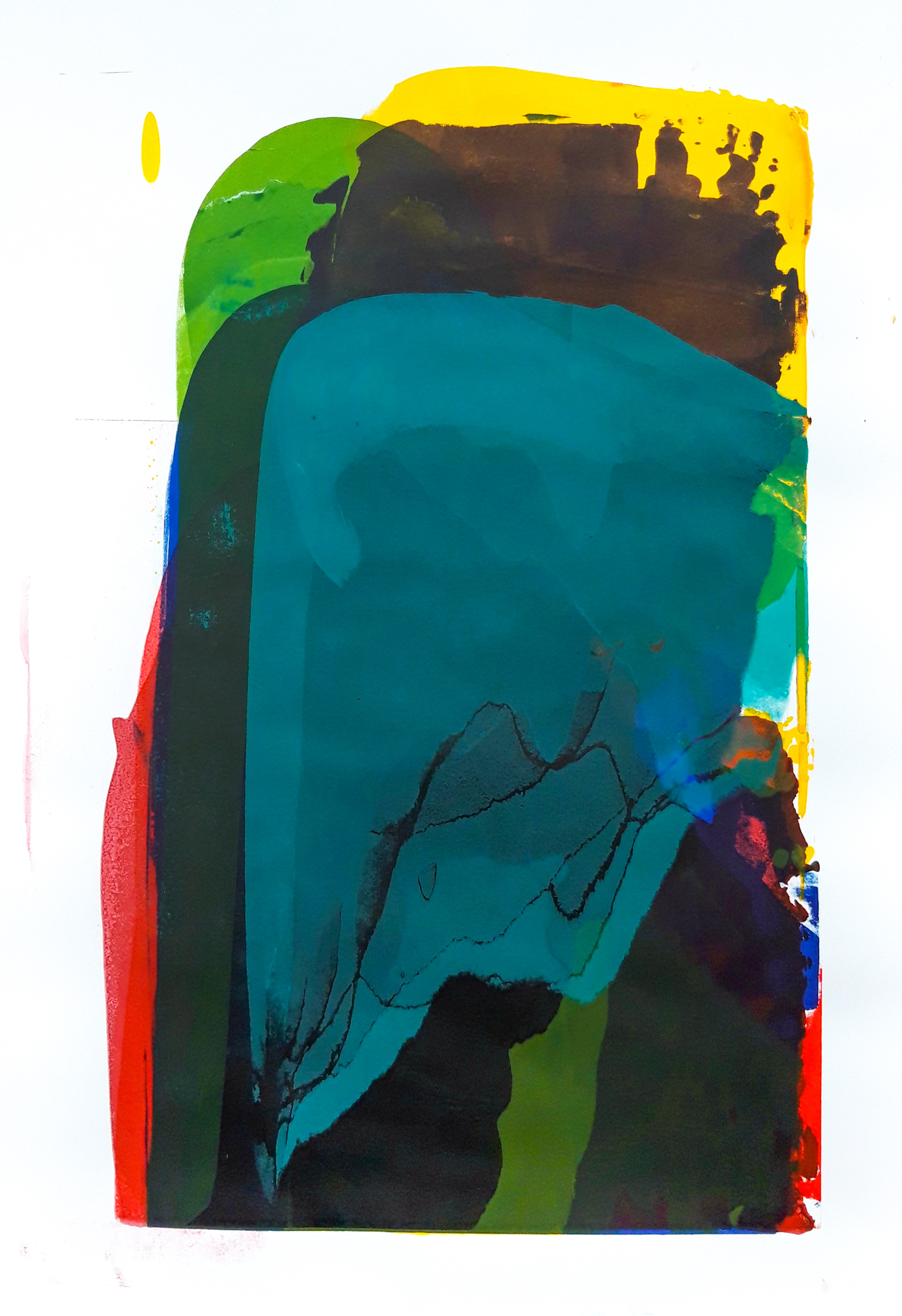 238 70x50 sitodruk na papierze 2020 dostępny