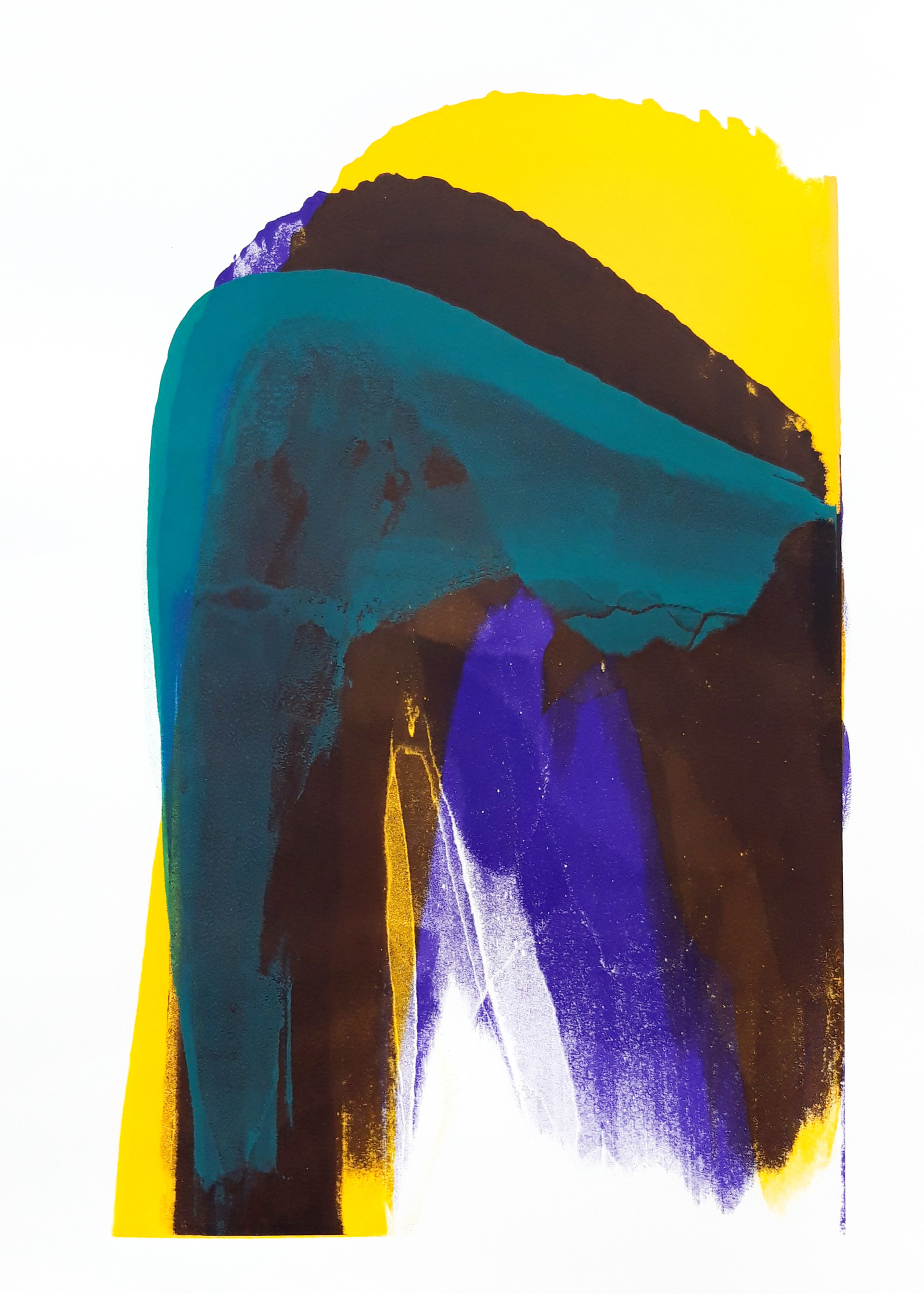 232 70x50 sitodruk na papierze 2020 dostępny