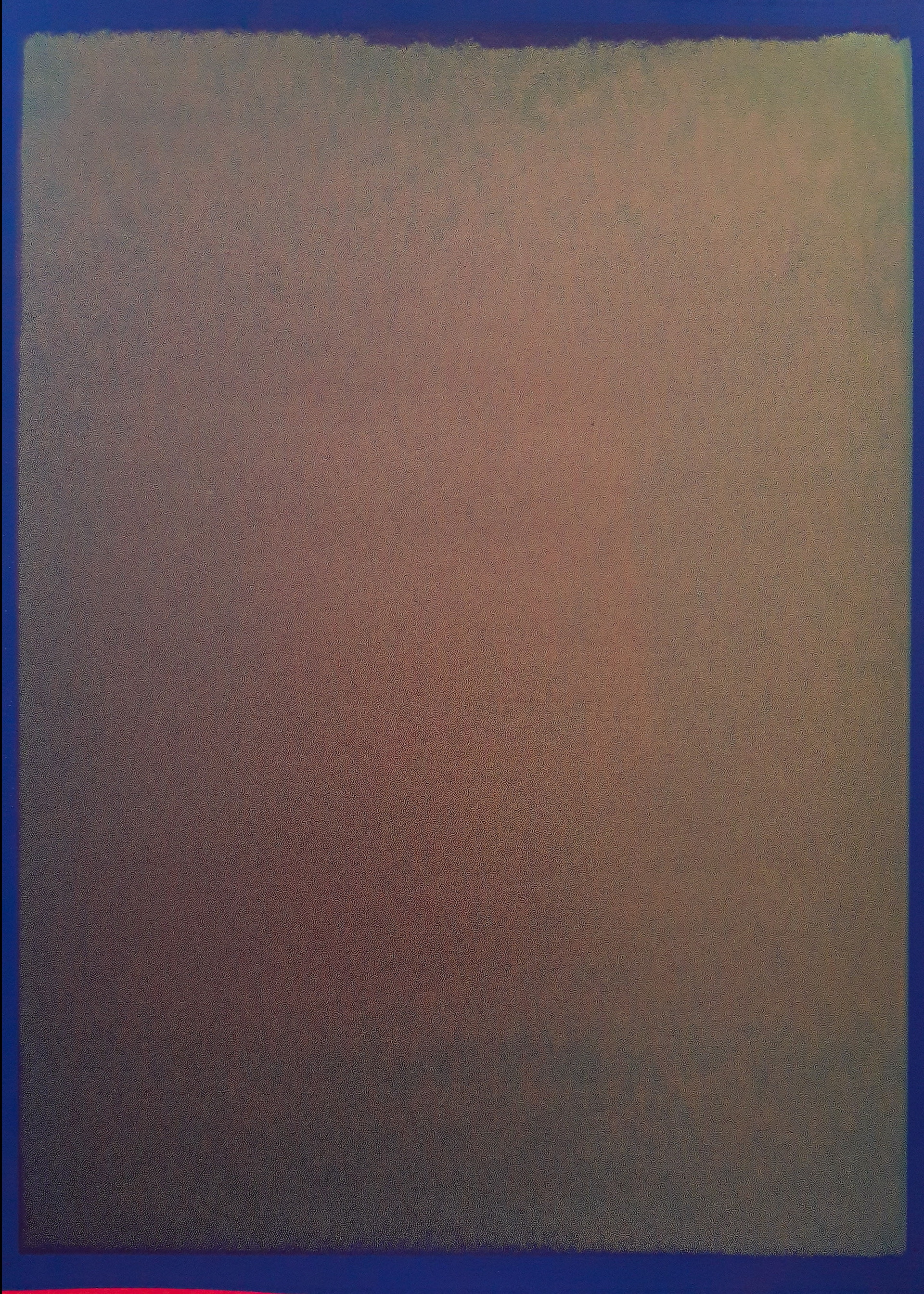 336. 70x50 cm 2022