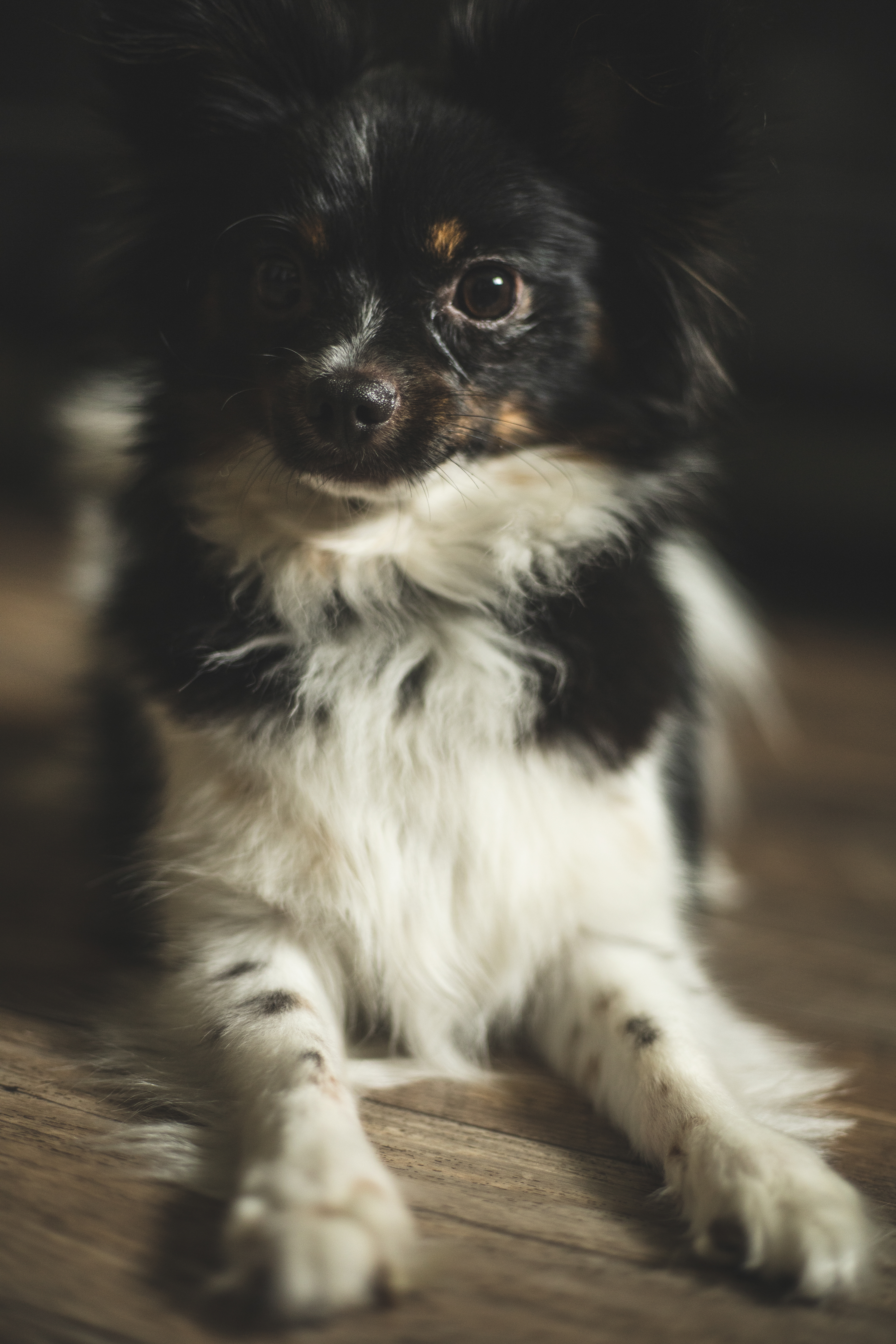 Riku