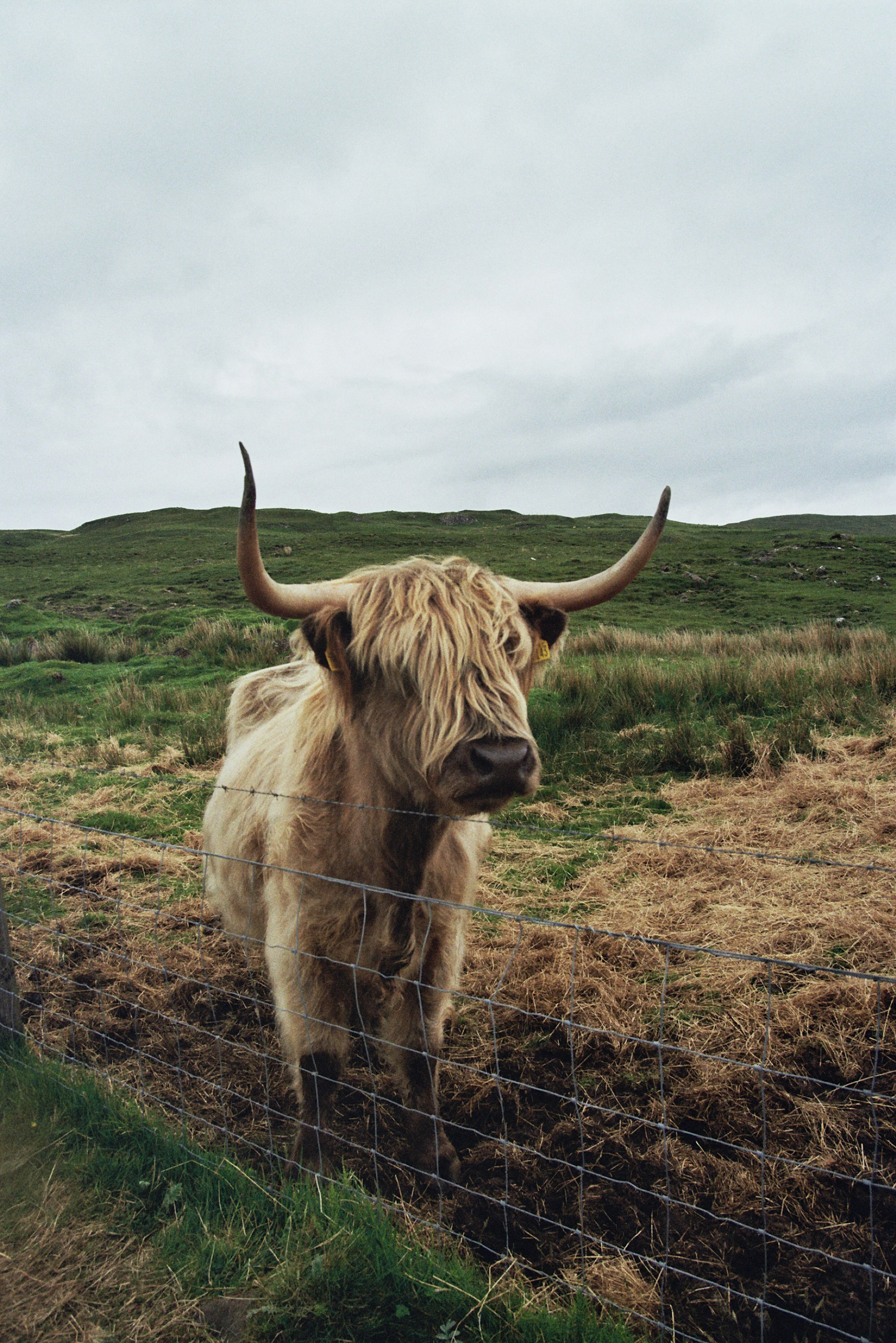 The Highlands Scotland
