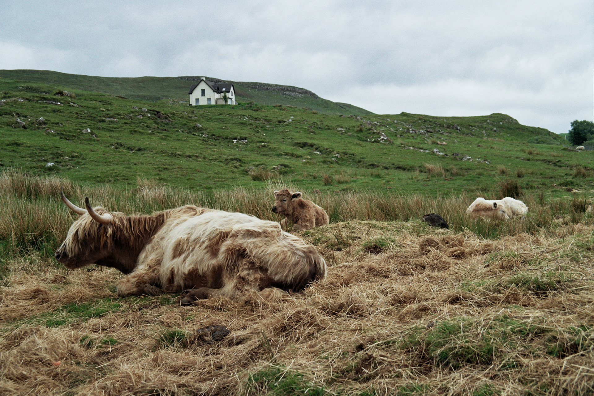 Scotland Highlands