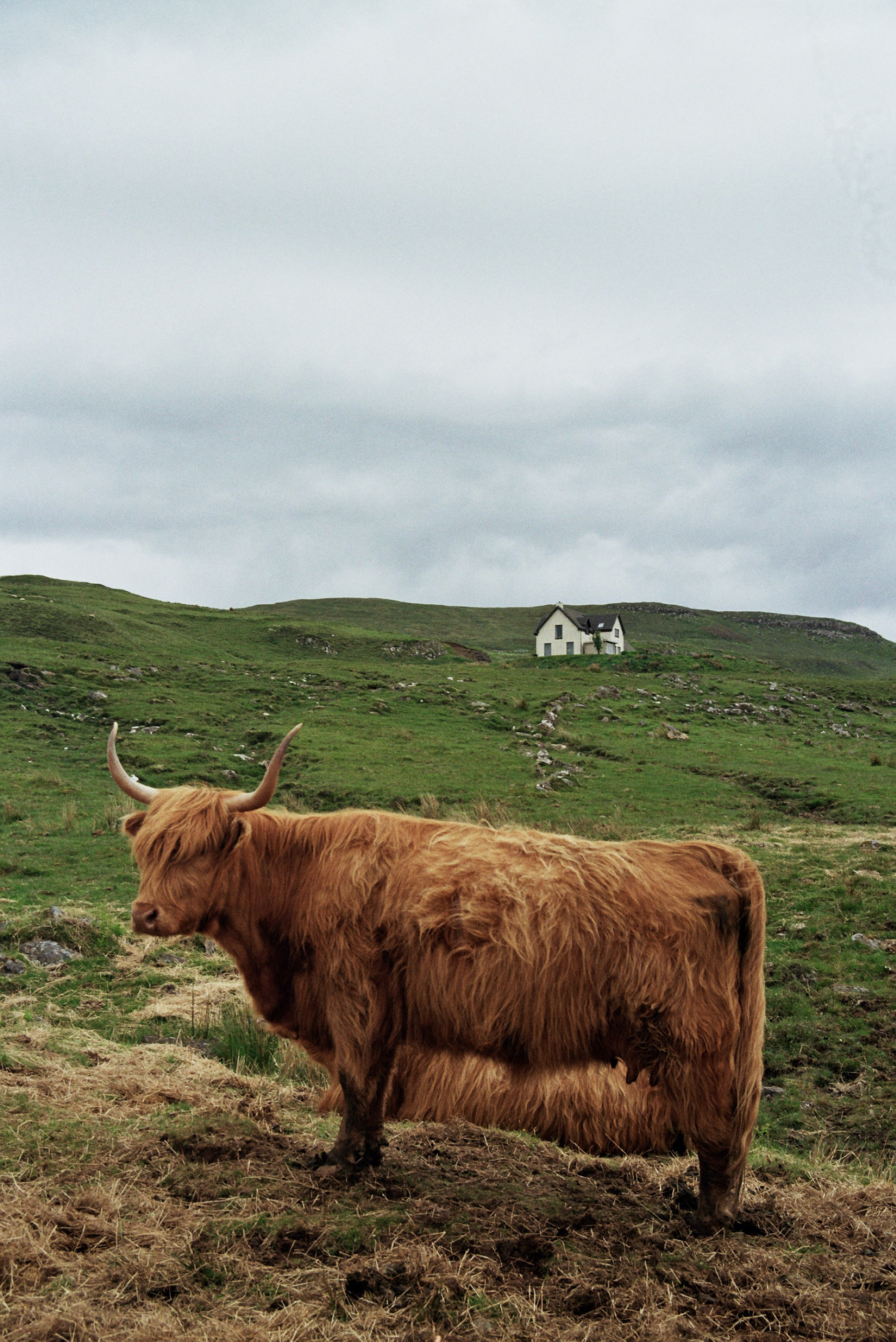 The Highlands Scotland