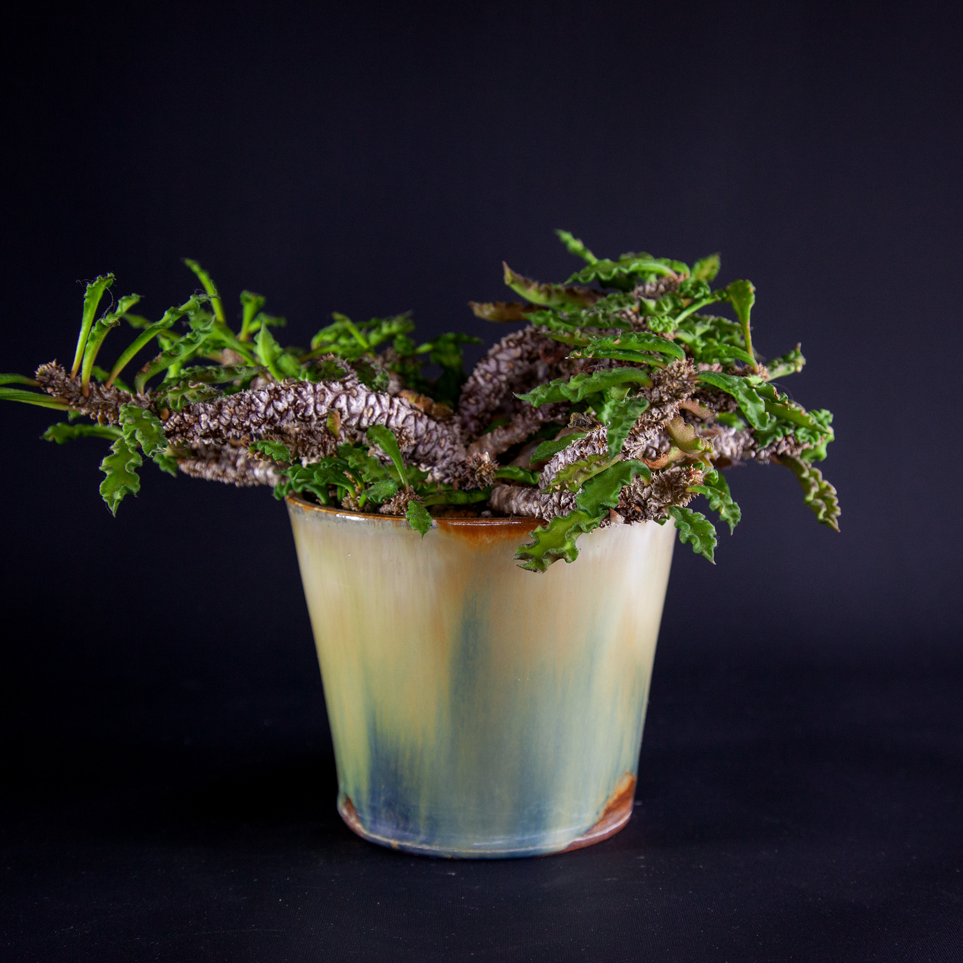 Pot #322 · 10,5x10 cm · DKK 175,-