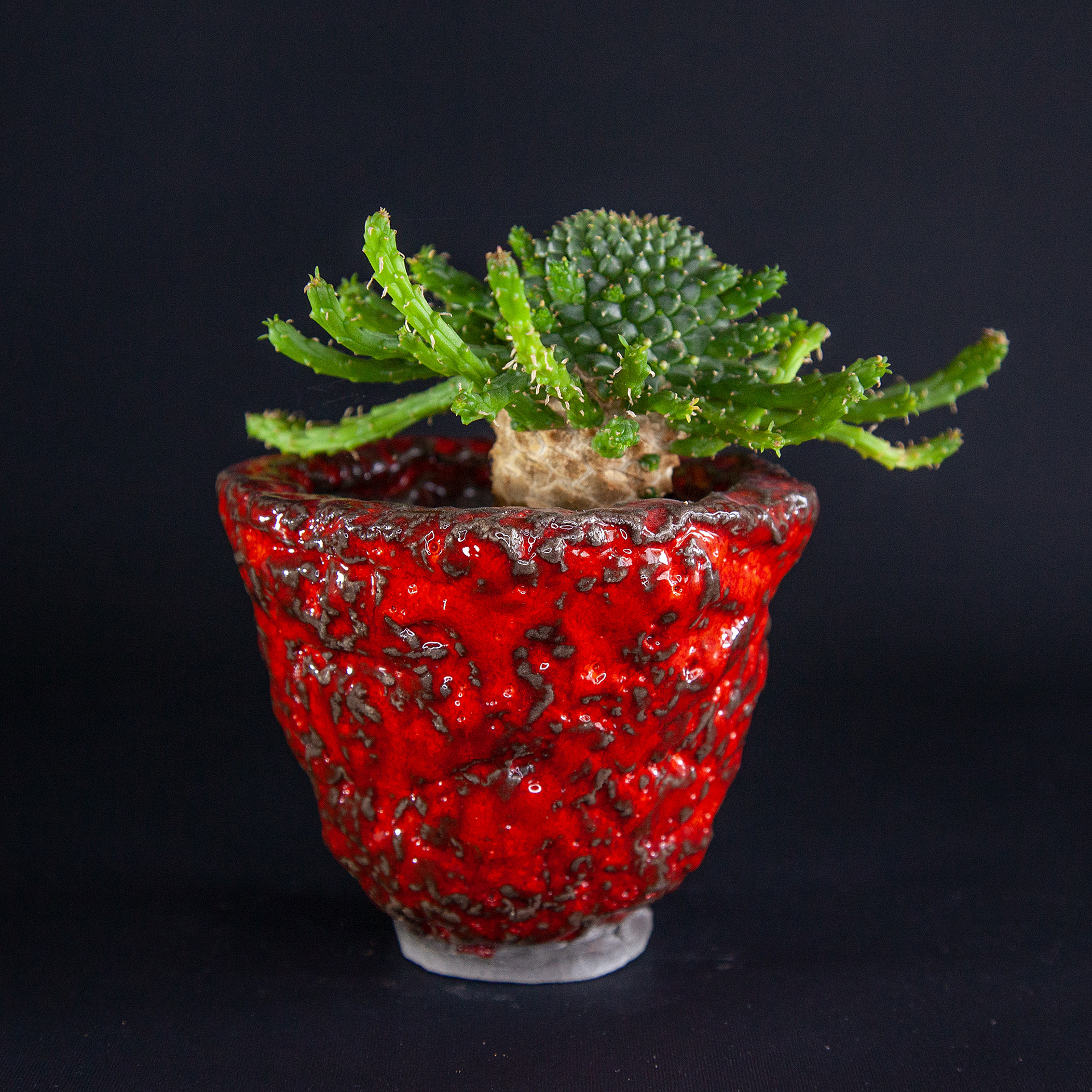 Pot #118 · 10x8 cm · DKK 100,-