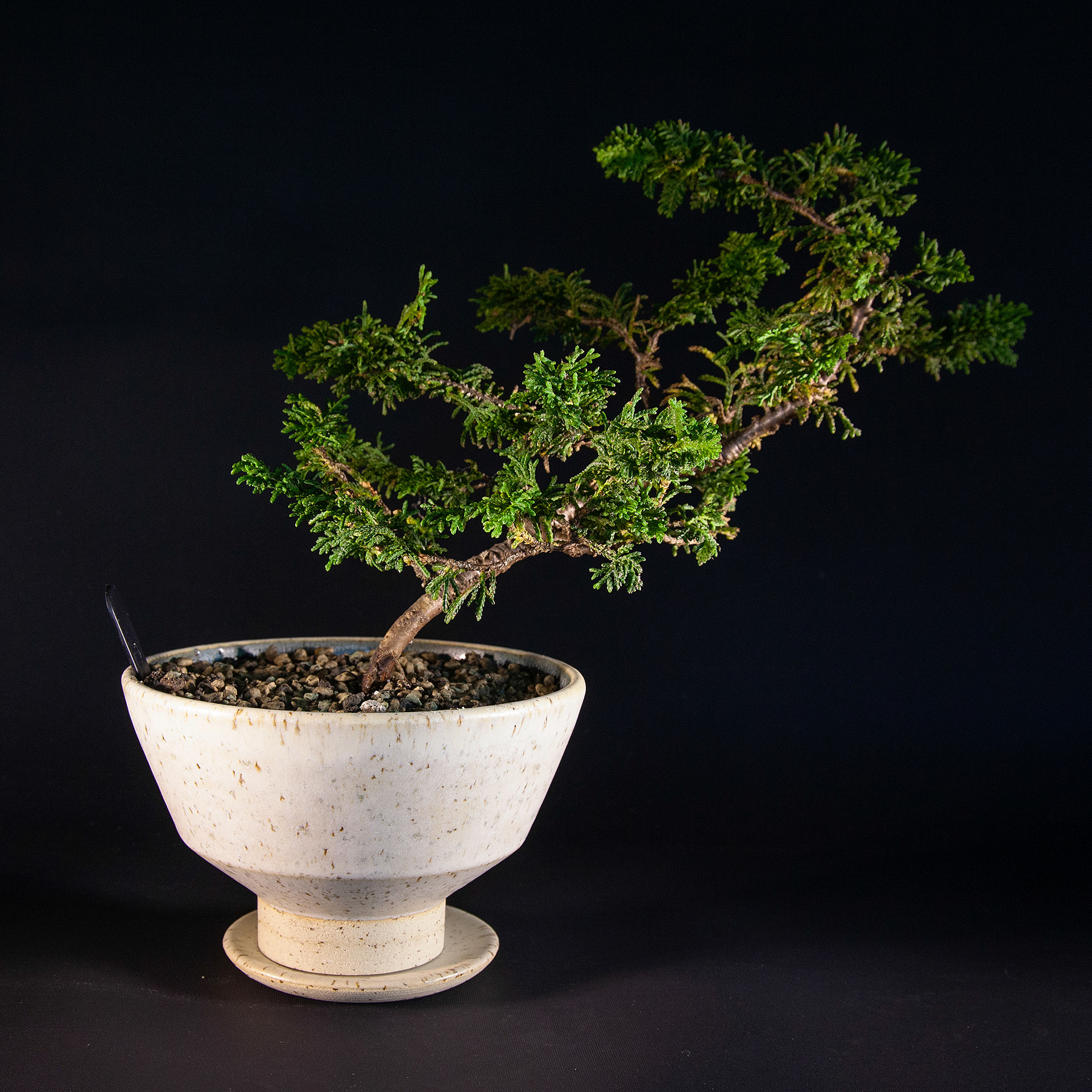 Pot #269 · 13x8,5 cm · DKK 300,-