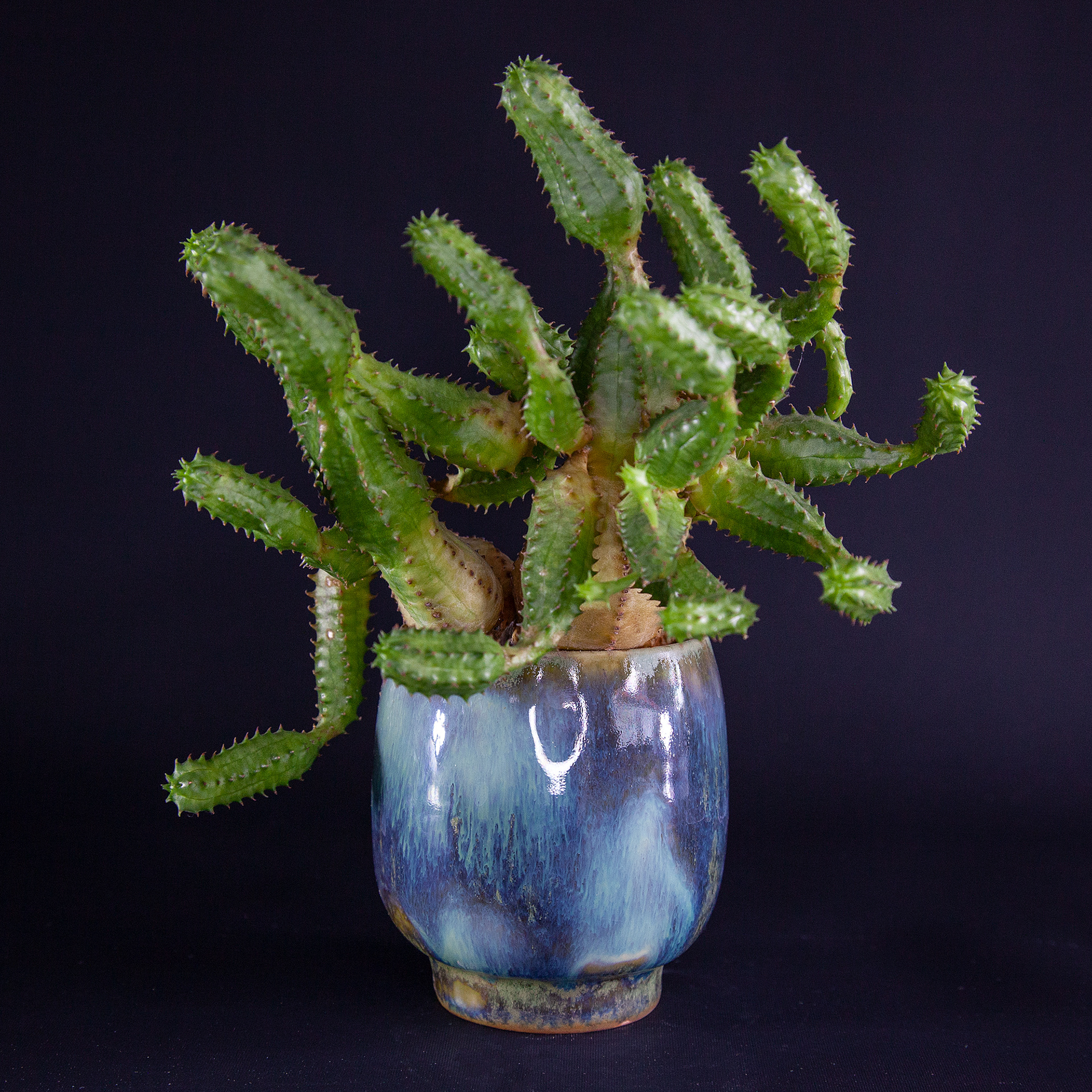 Pot #105 · 7,5x8,5 cm · DKK 120,-