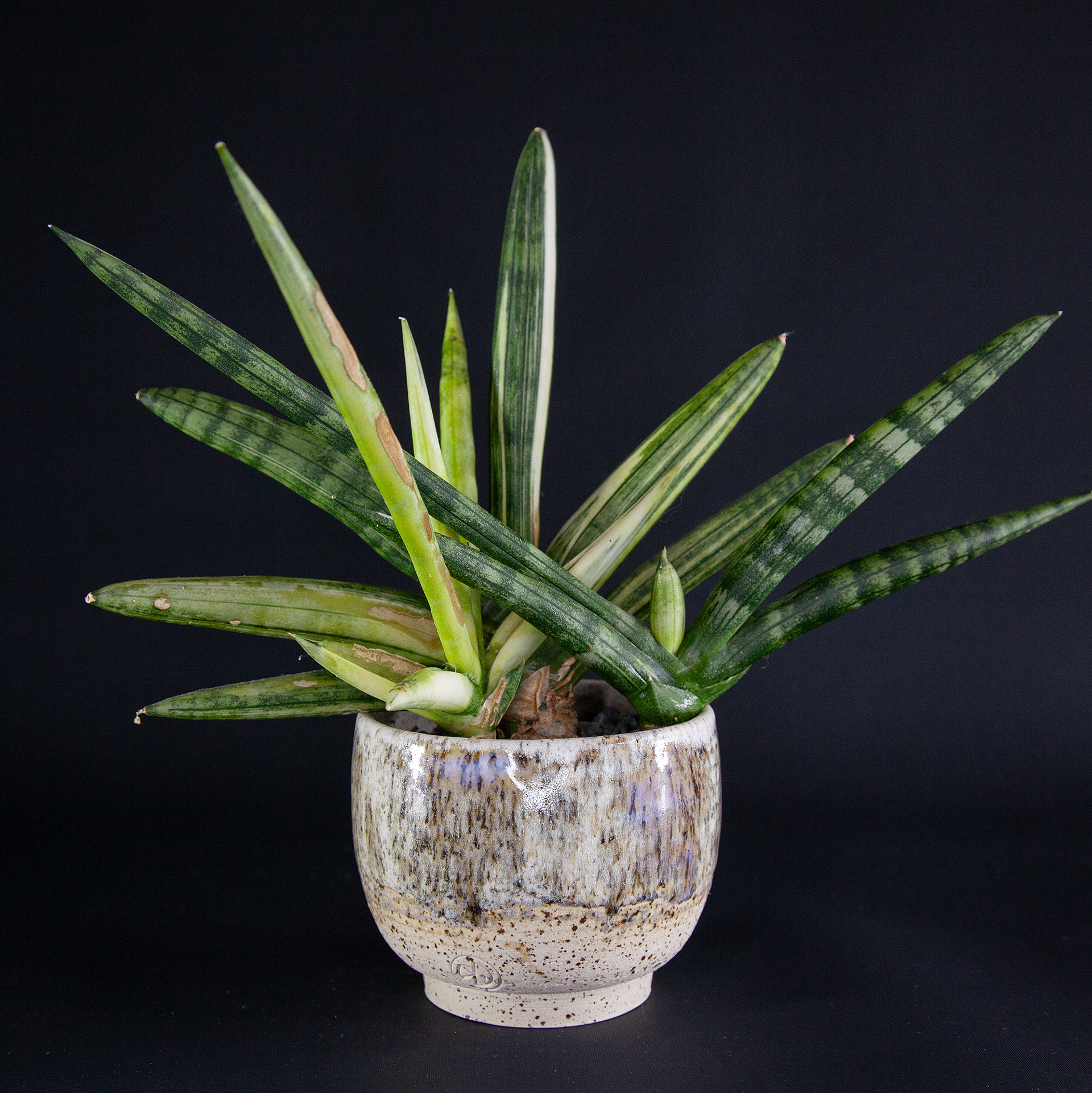 Pot #134 · 9,5x7,5 cm · DKK 150,-