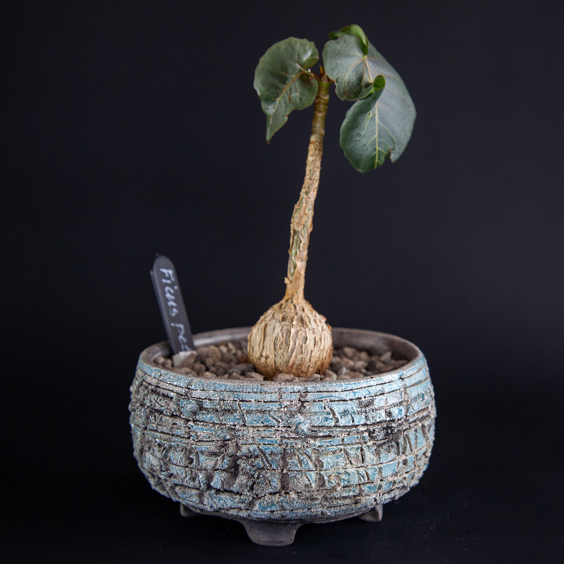 Pot #213 · 10,5x6 cm · DKK 150,-