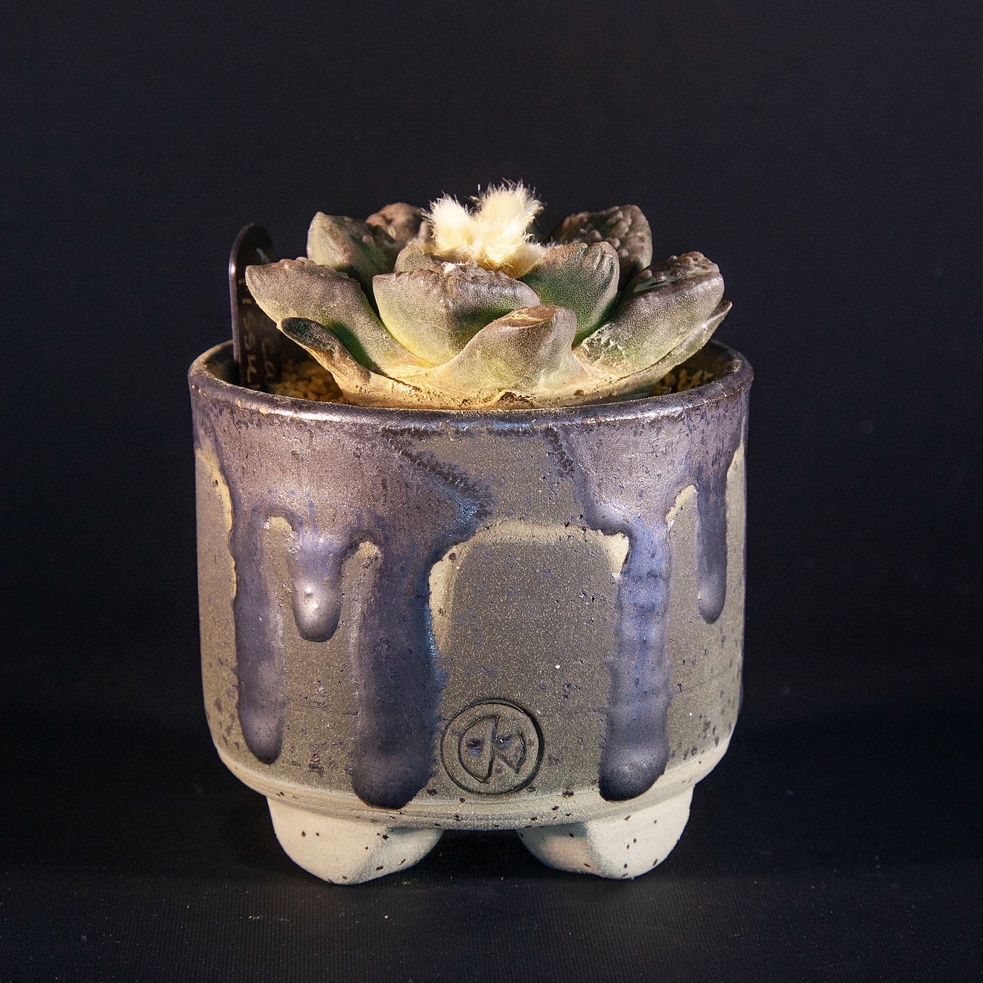 Pot #138 · 8x7 cm · DKK 175,-