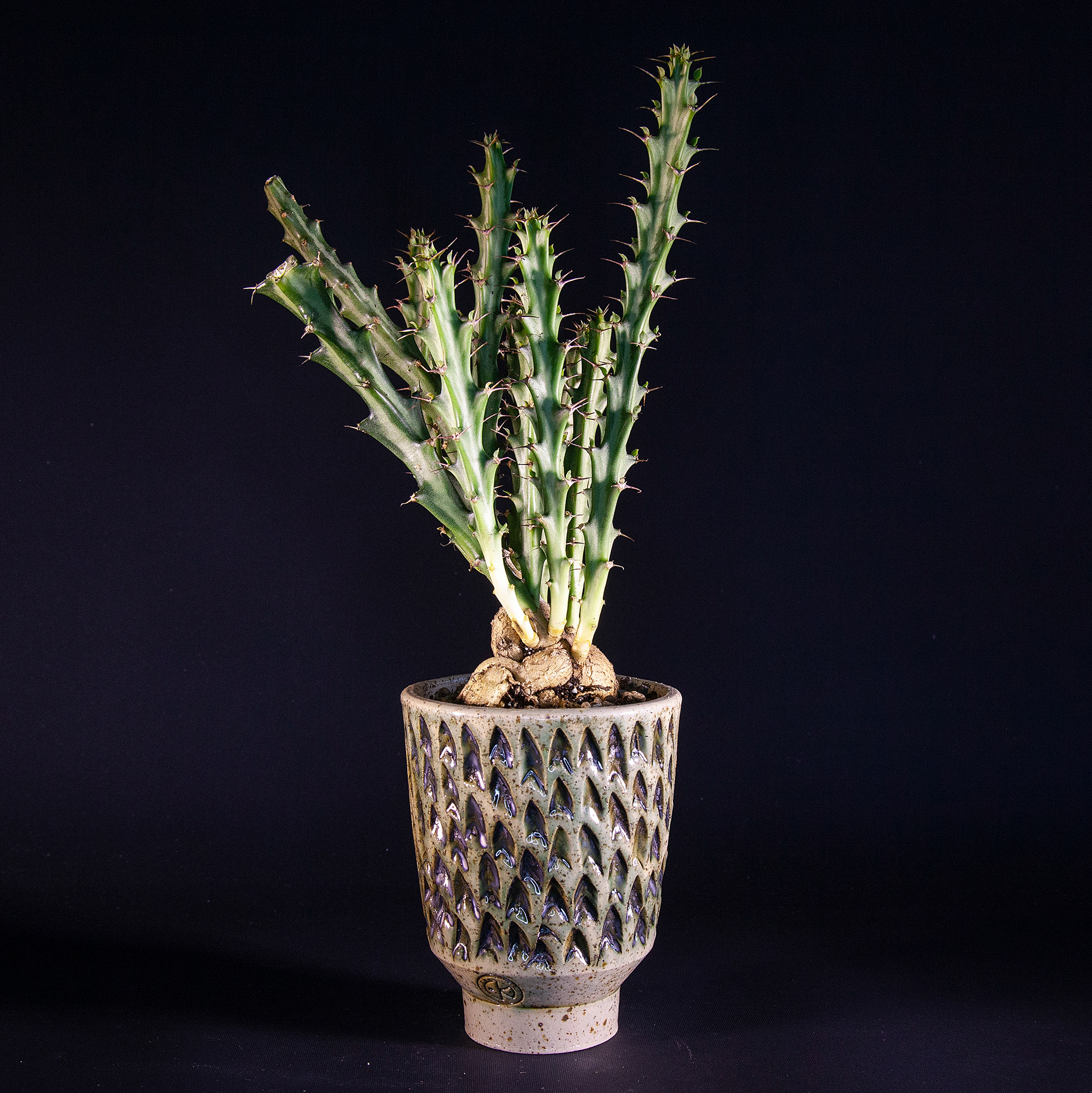 Pot #268 · 8,5x10 cm · DKK 195,-