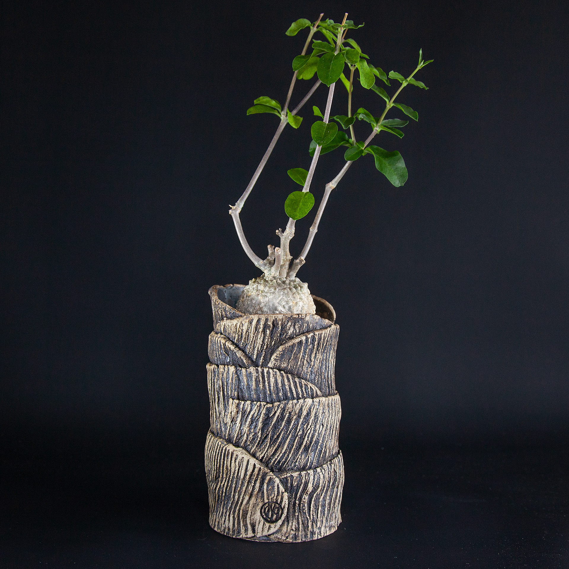 Pot #336 · 9x15 cm · DKK 200,-