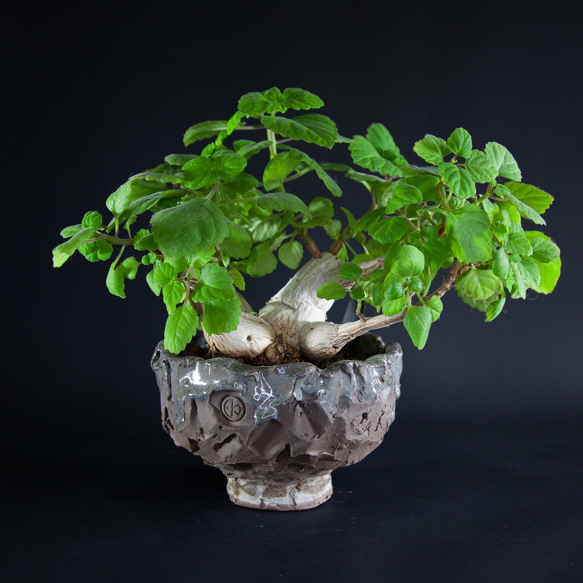 Pot #323 · 13,5x8,5 cm · DKK 300,-