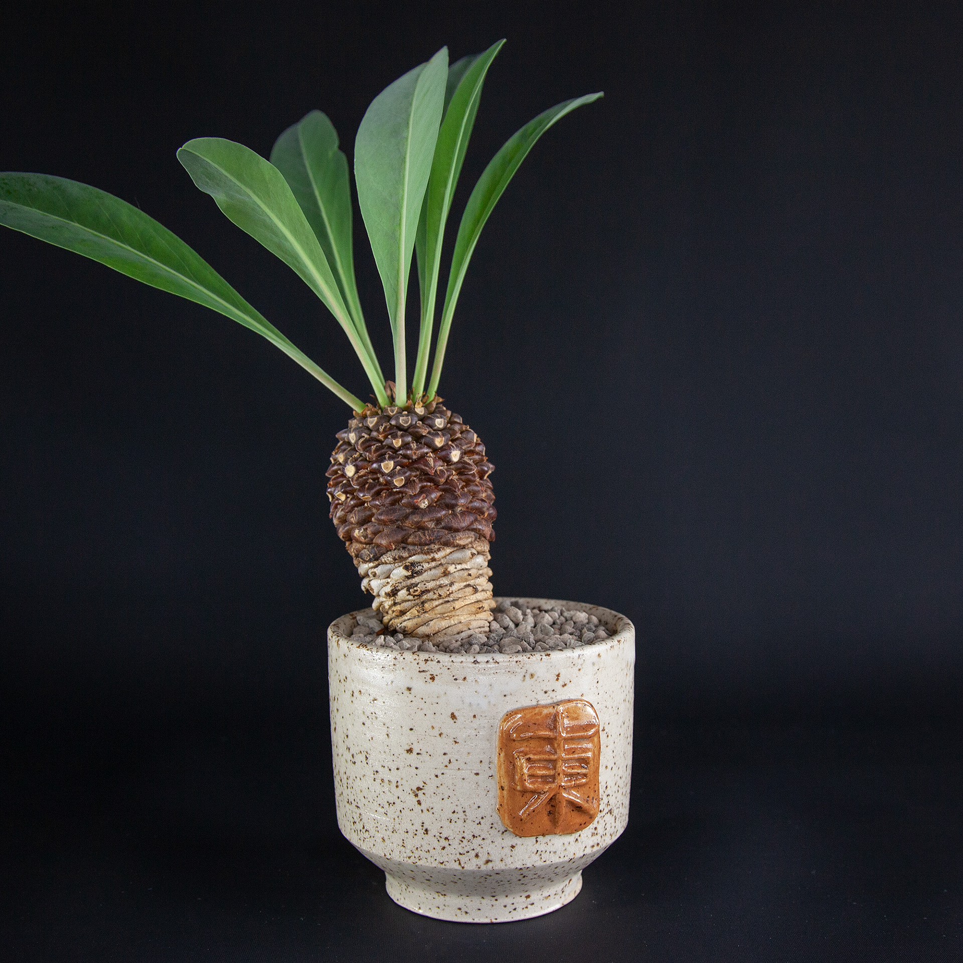 Pot #238 · 10x8,5 cm · DKK 200,-