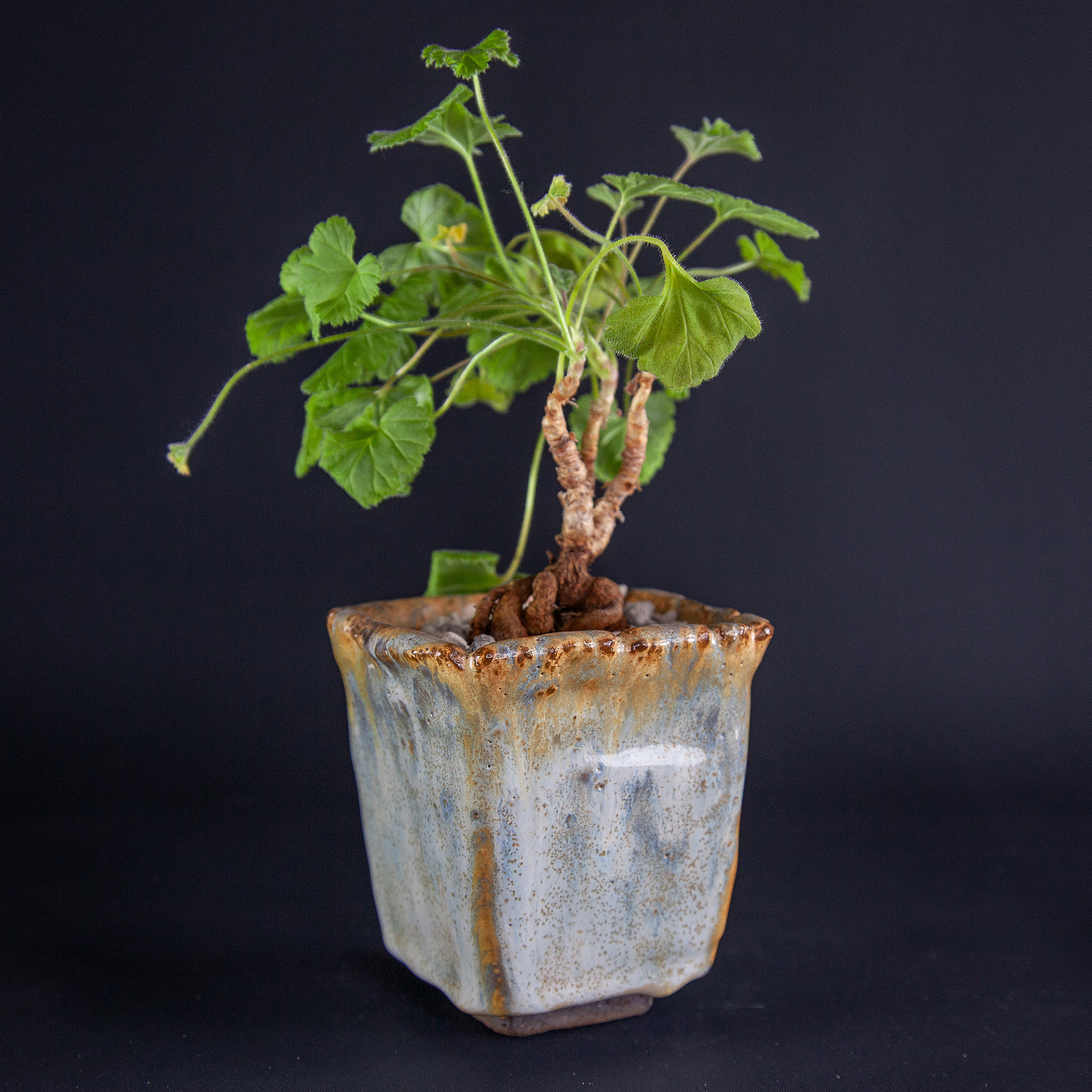 Pot #114 · 8,5x9 cm · DKK 120,-