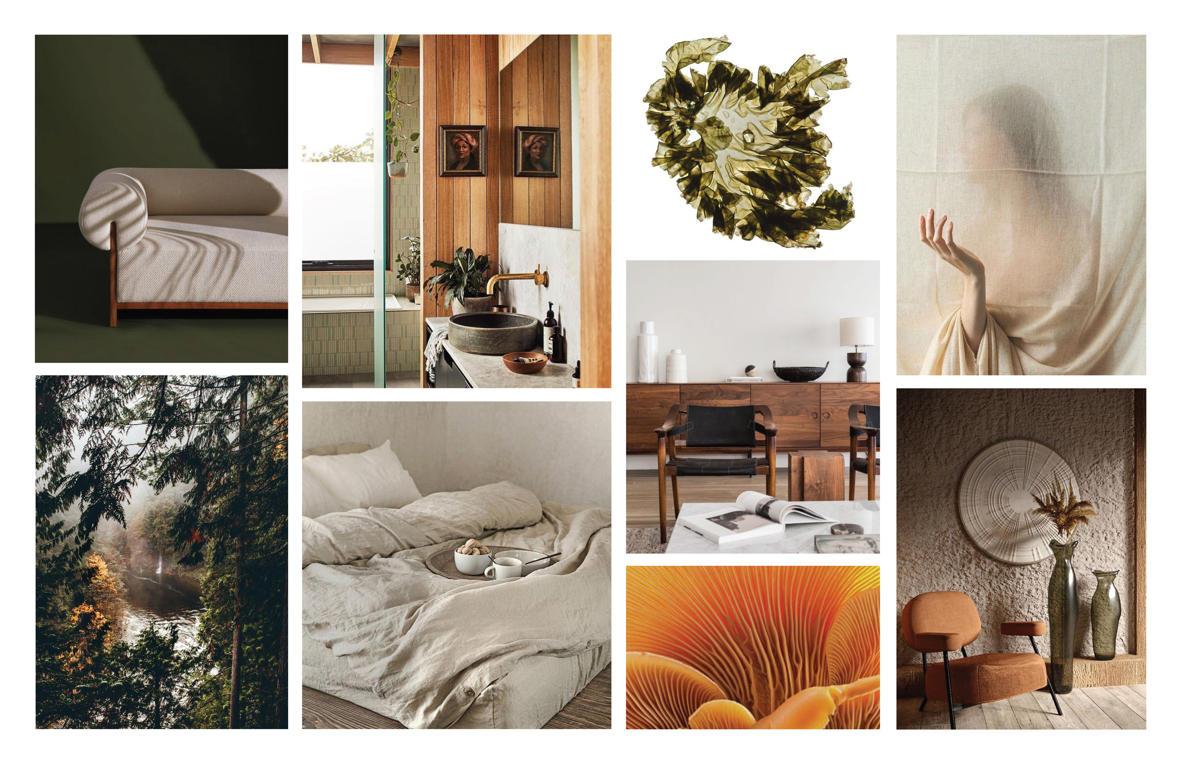CONCEPT / INSPIRATION IMAGES