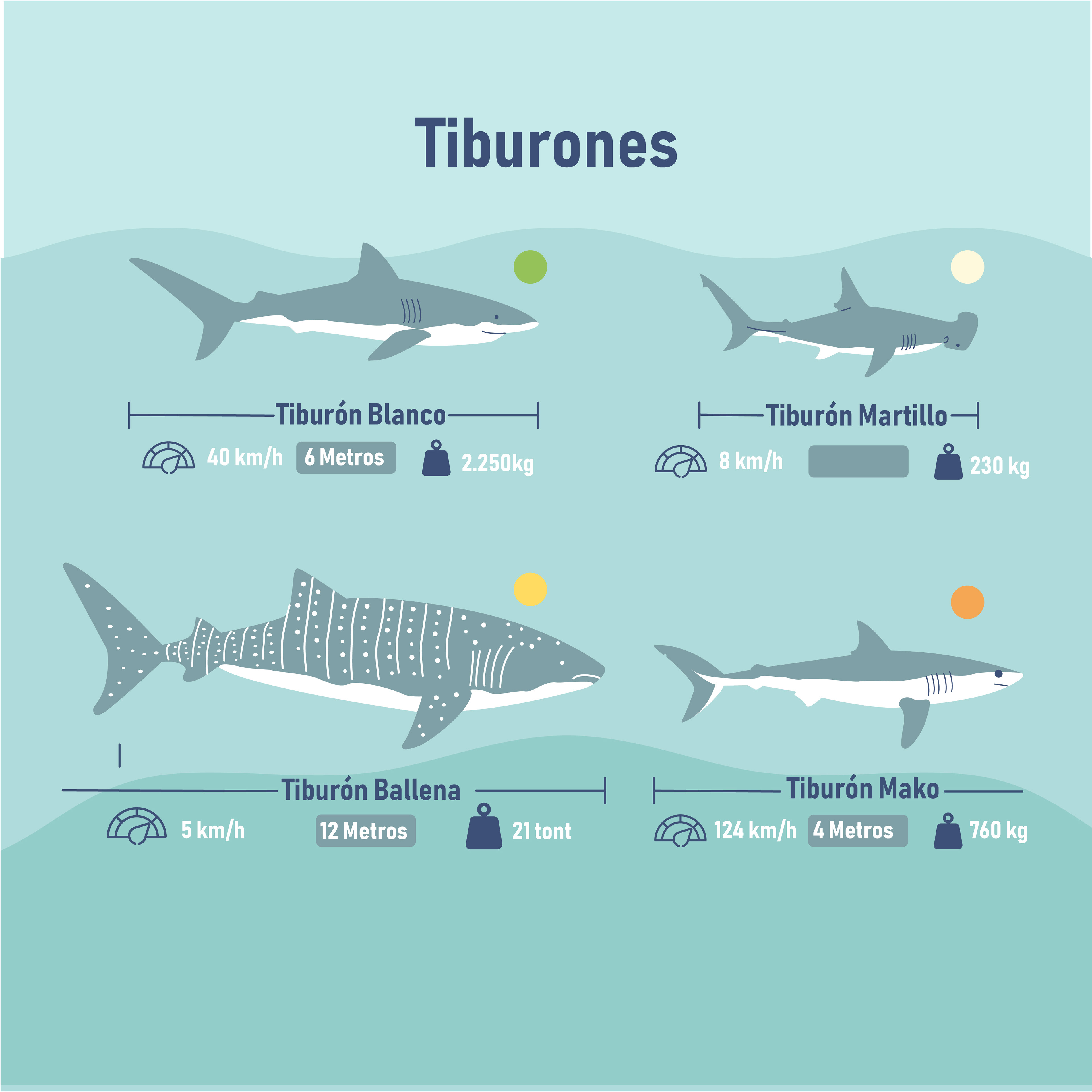 evolución de la línea de tiempo de los tiburones