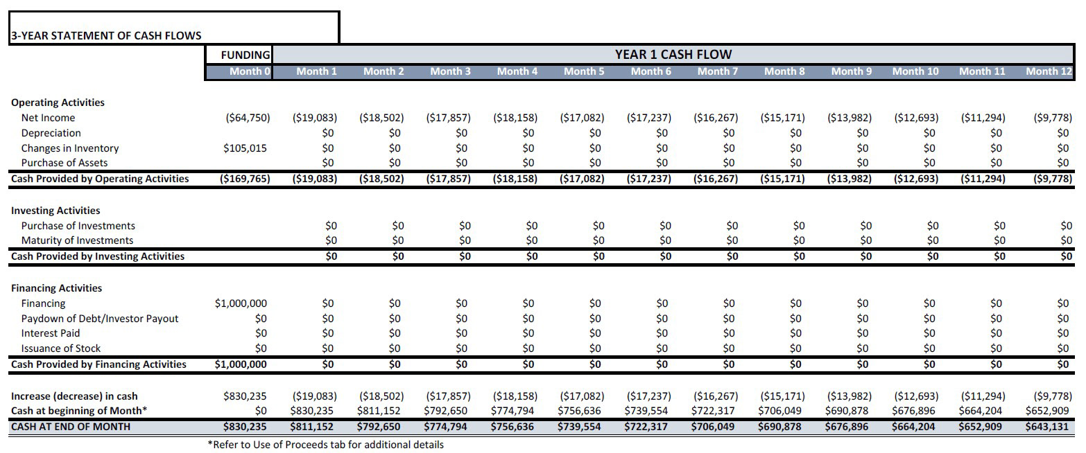 Demo Fundraising Model, Cash Flow statement sample