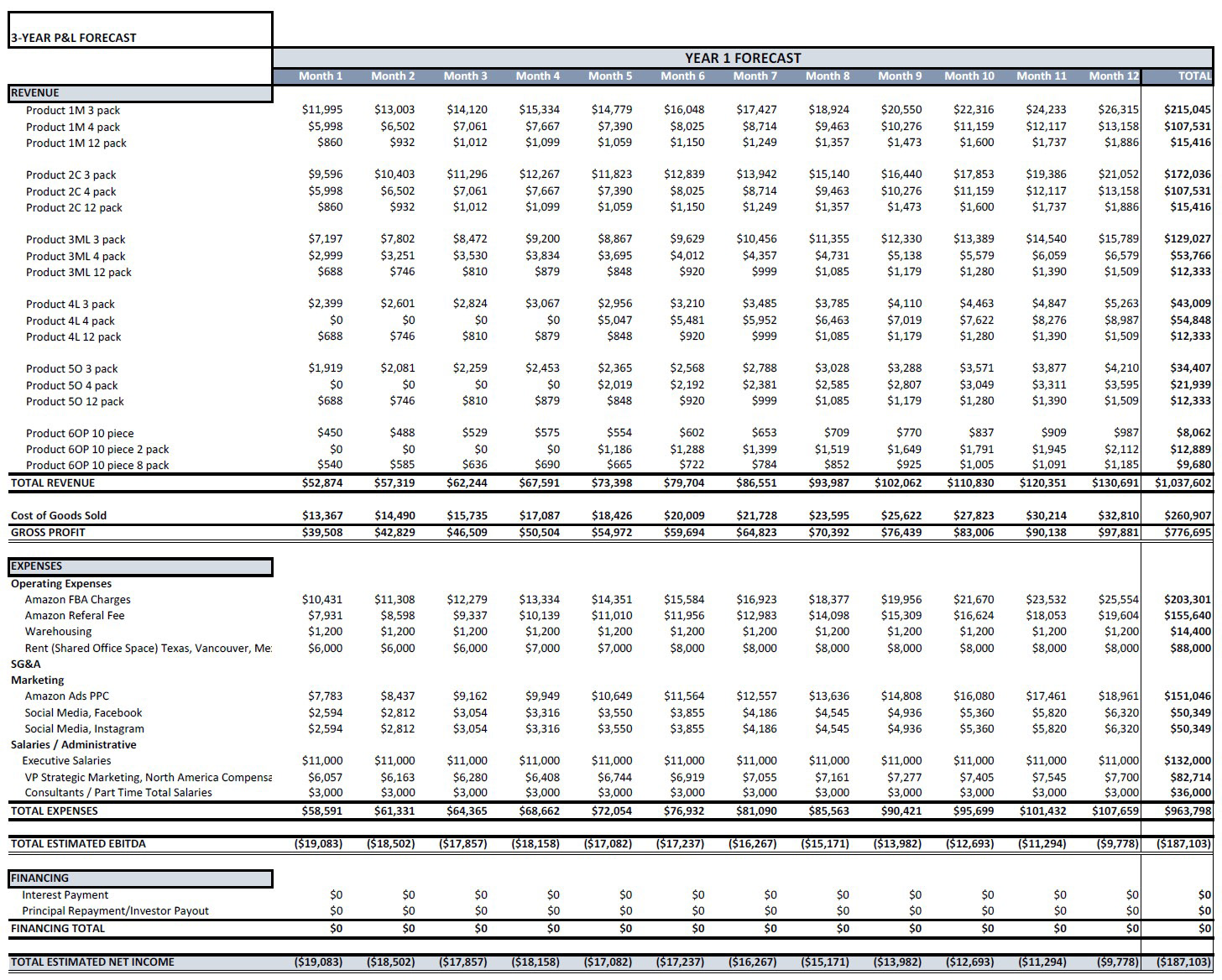 Demo Fundraising Model, P&L forecast sample