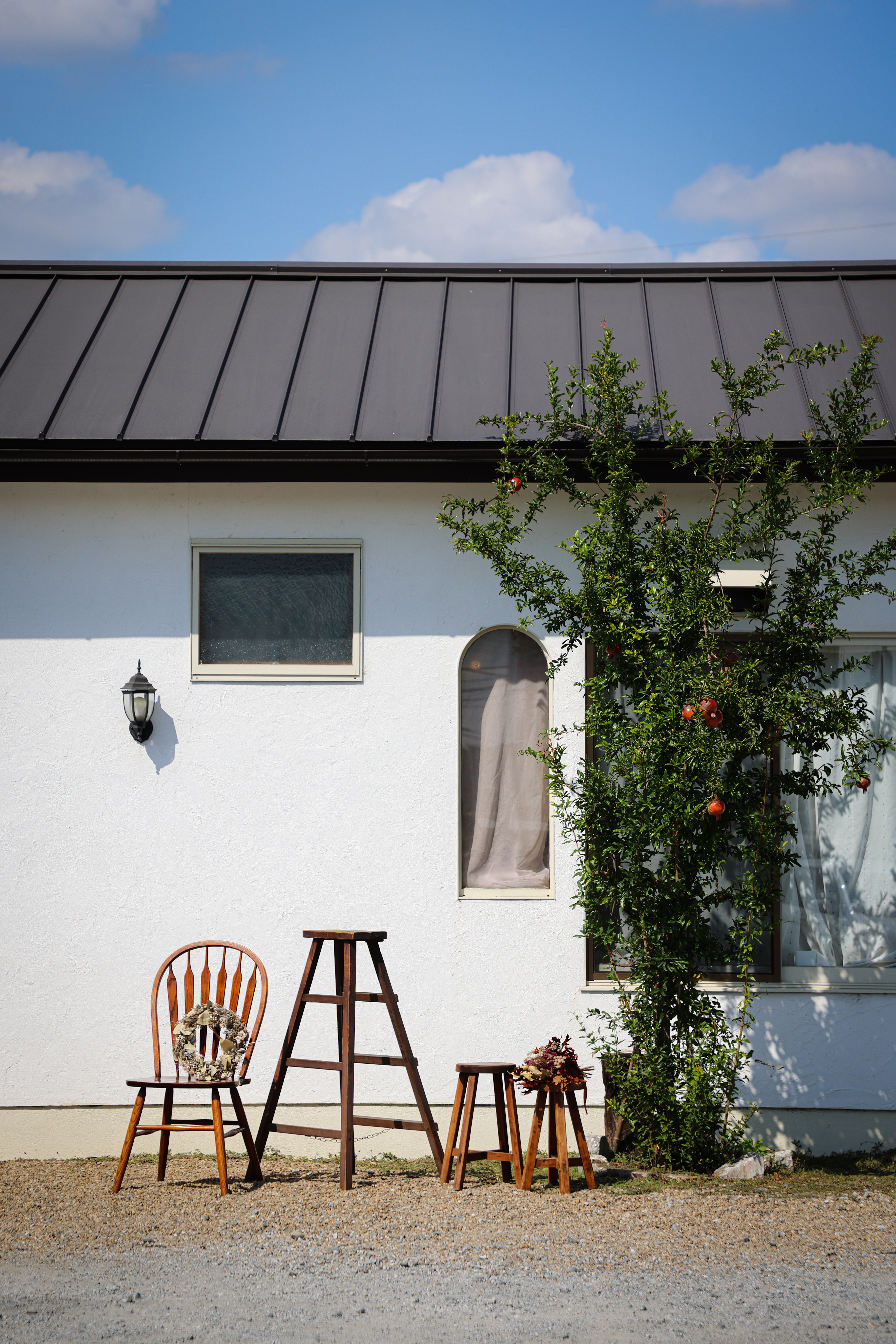 la panxaのお庭で撮影