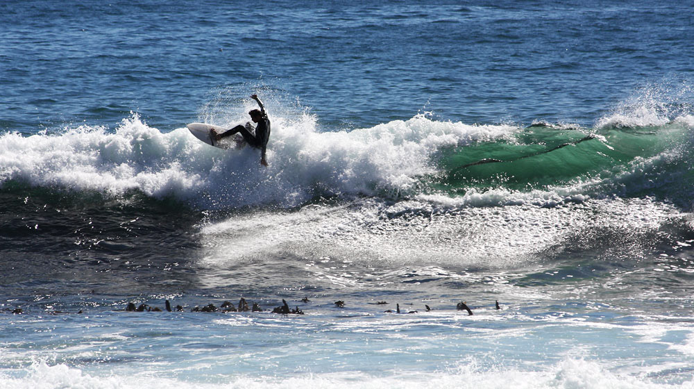 Surfen in Sea Point, Kapstadt