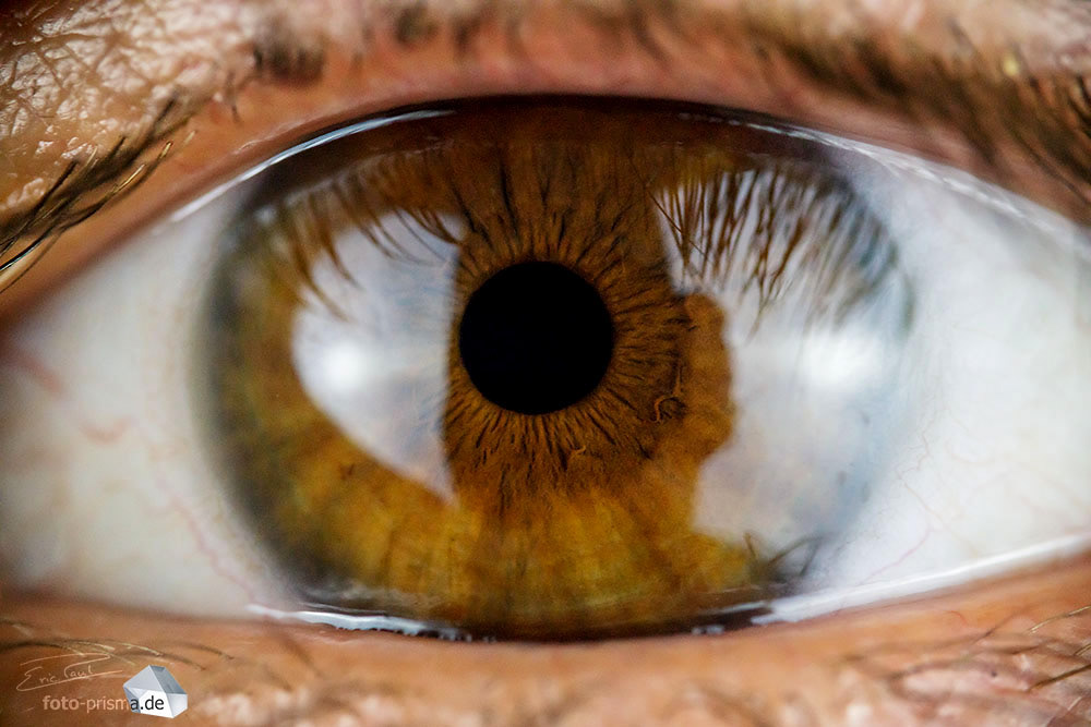 Auge Makro Iris Blick