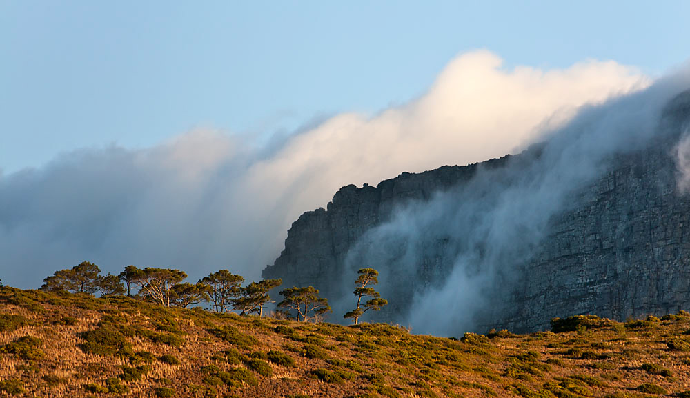 Nebelwolken wabern an der Nordseite des Tafelberges herunter