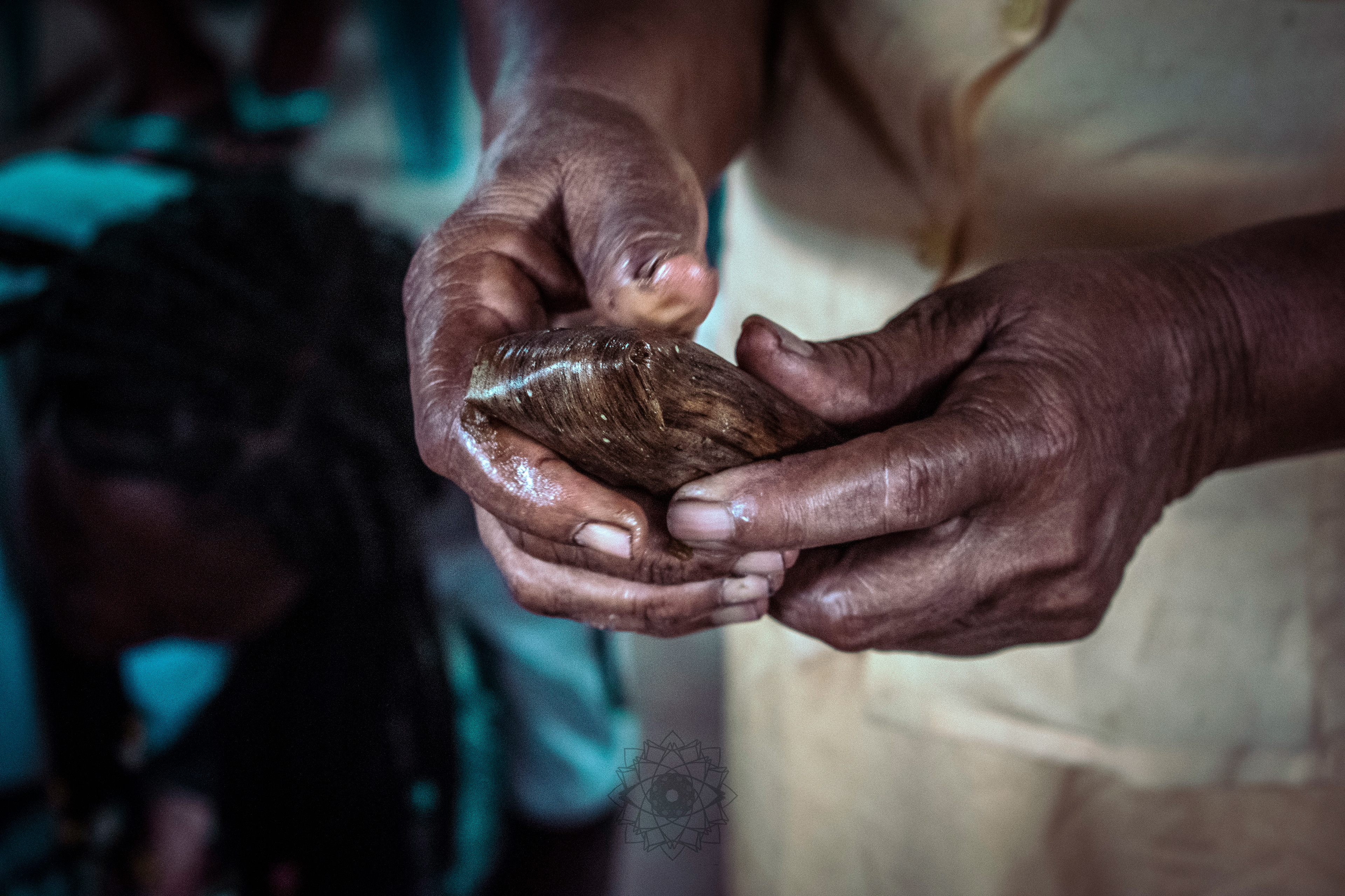 Traditional cuisine workshop