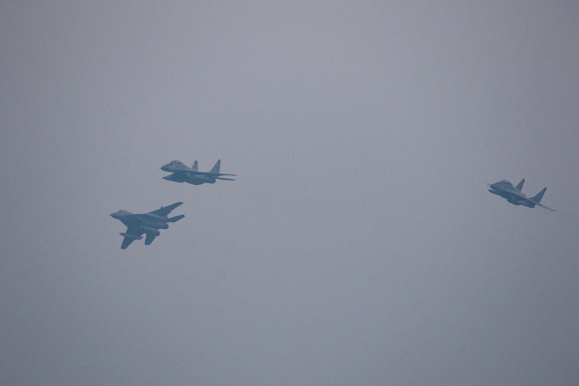 INAS 300 - The White Tigers