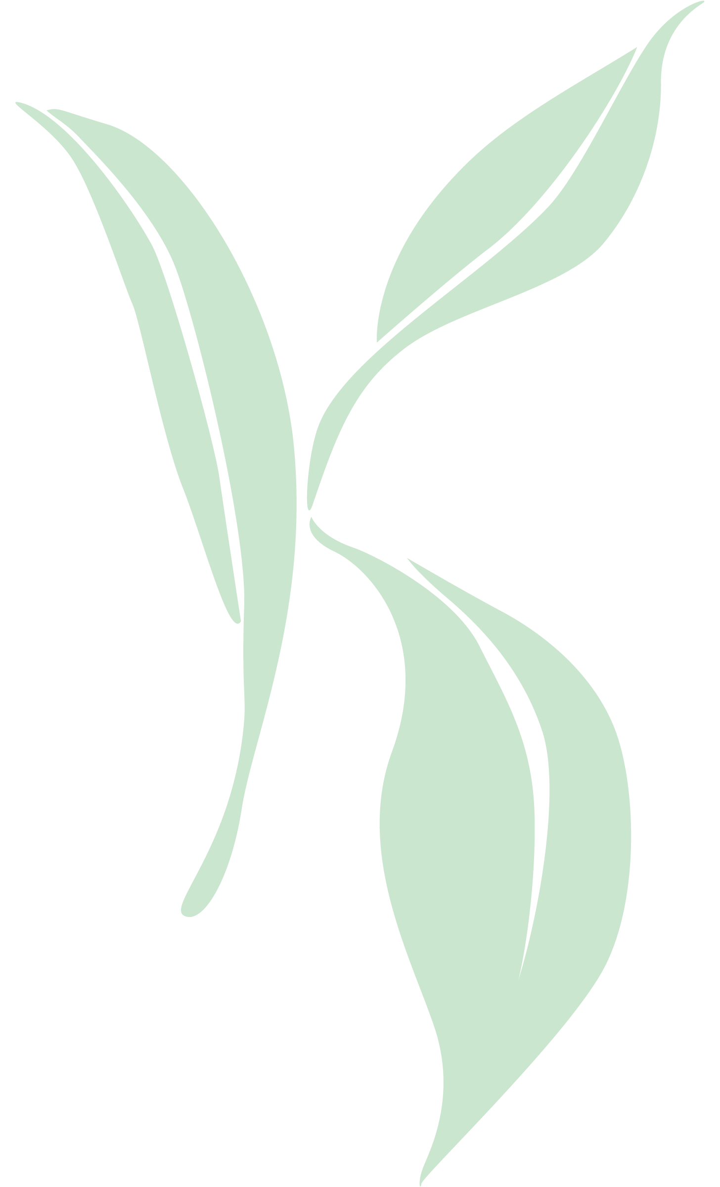 Kate Hirschfelt Logo