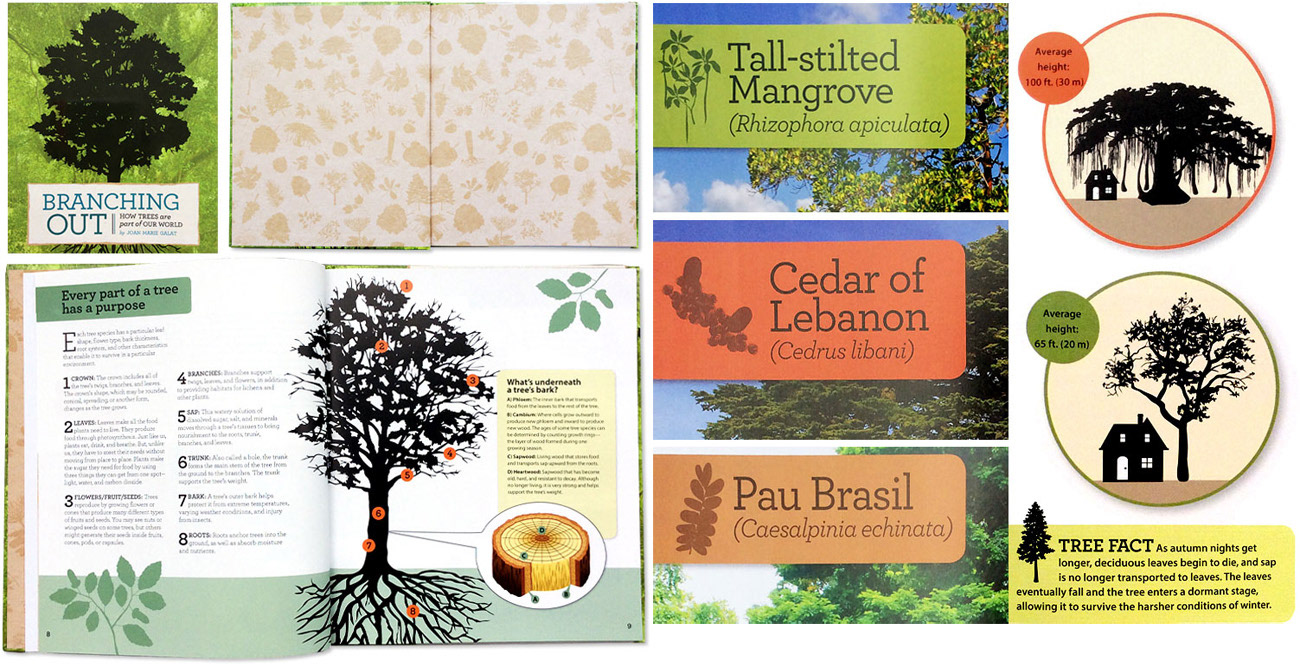 silhouette illustrations of various trees for Branching Out, a childrens book