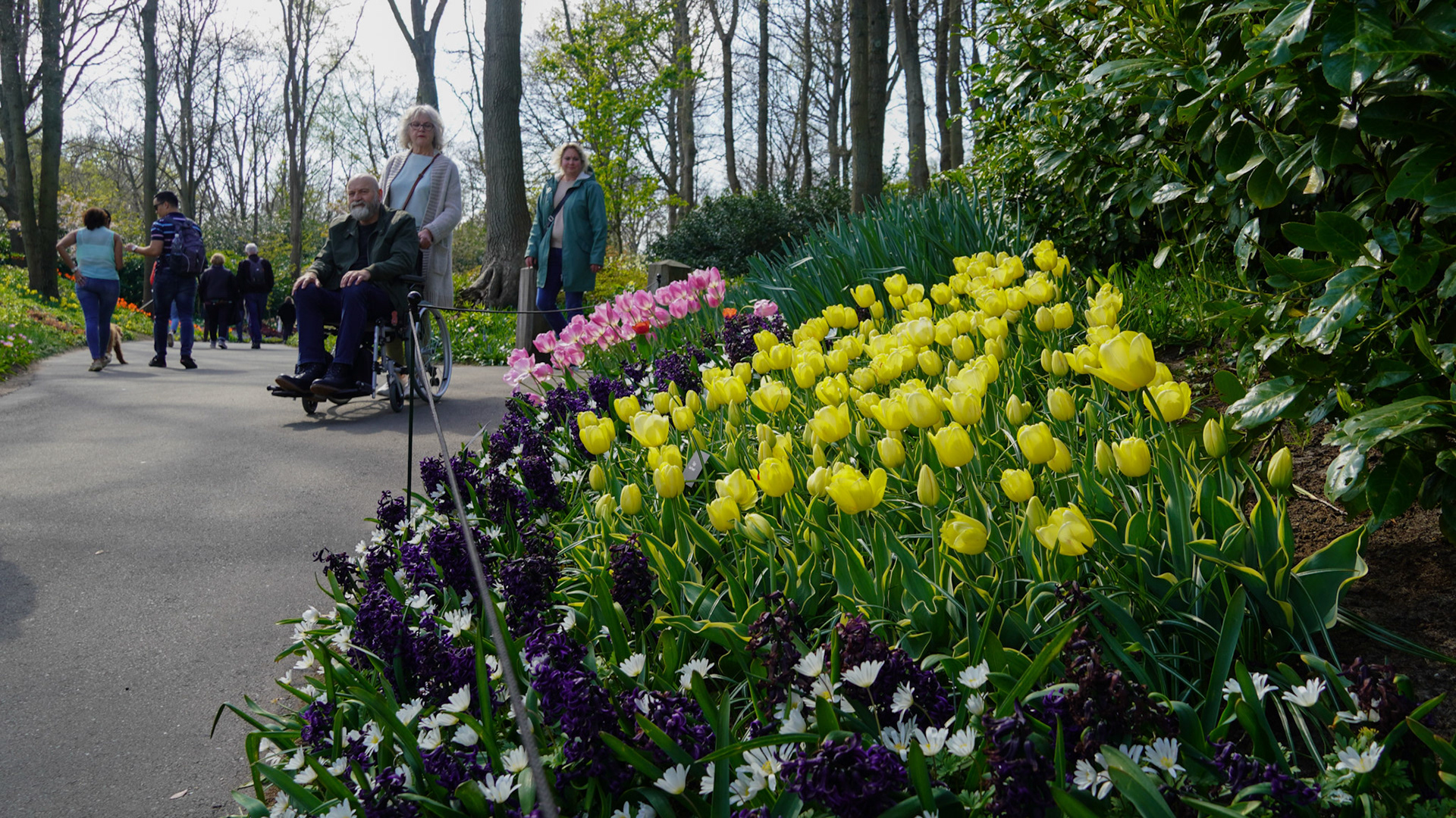 Keukenhof Tulip Gardens