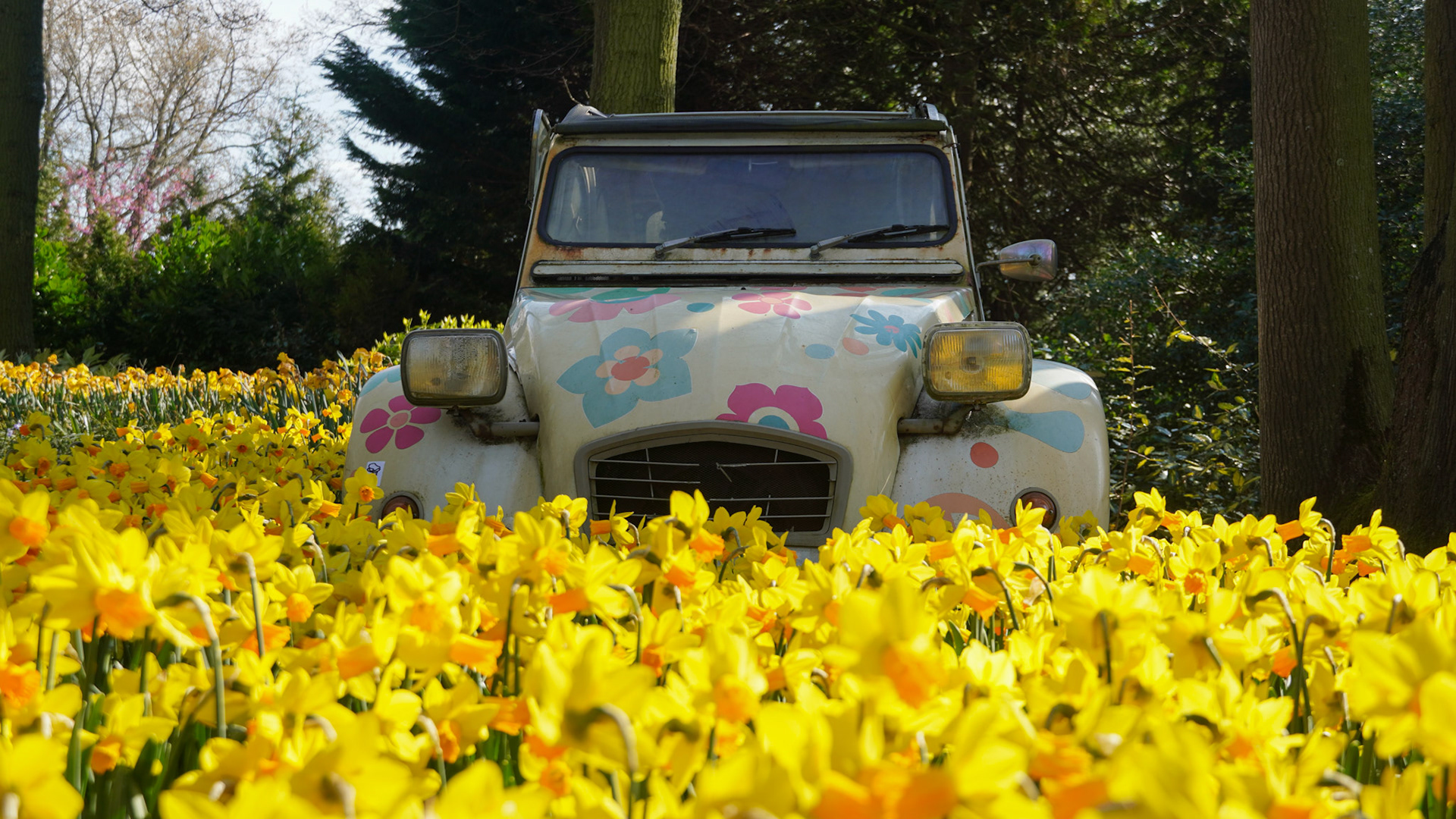 Keukenhof Tulip Gardens