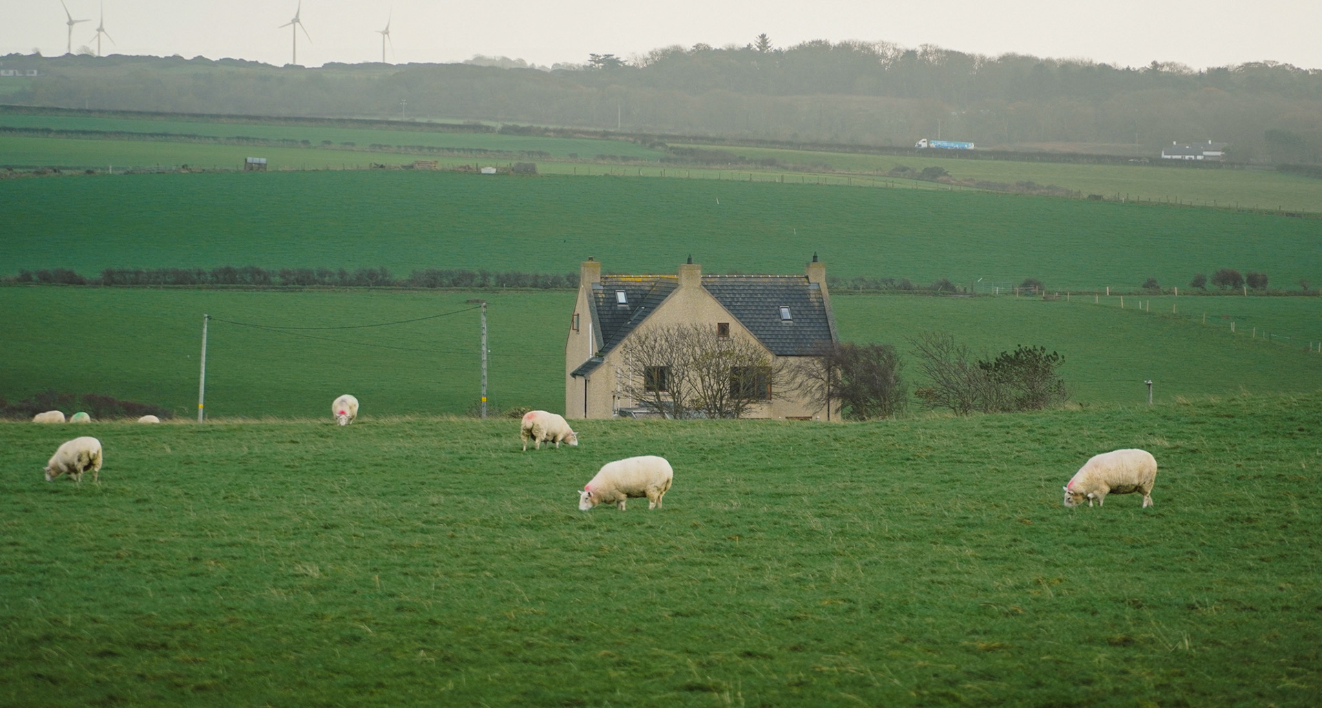 Giant's Causeway photography