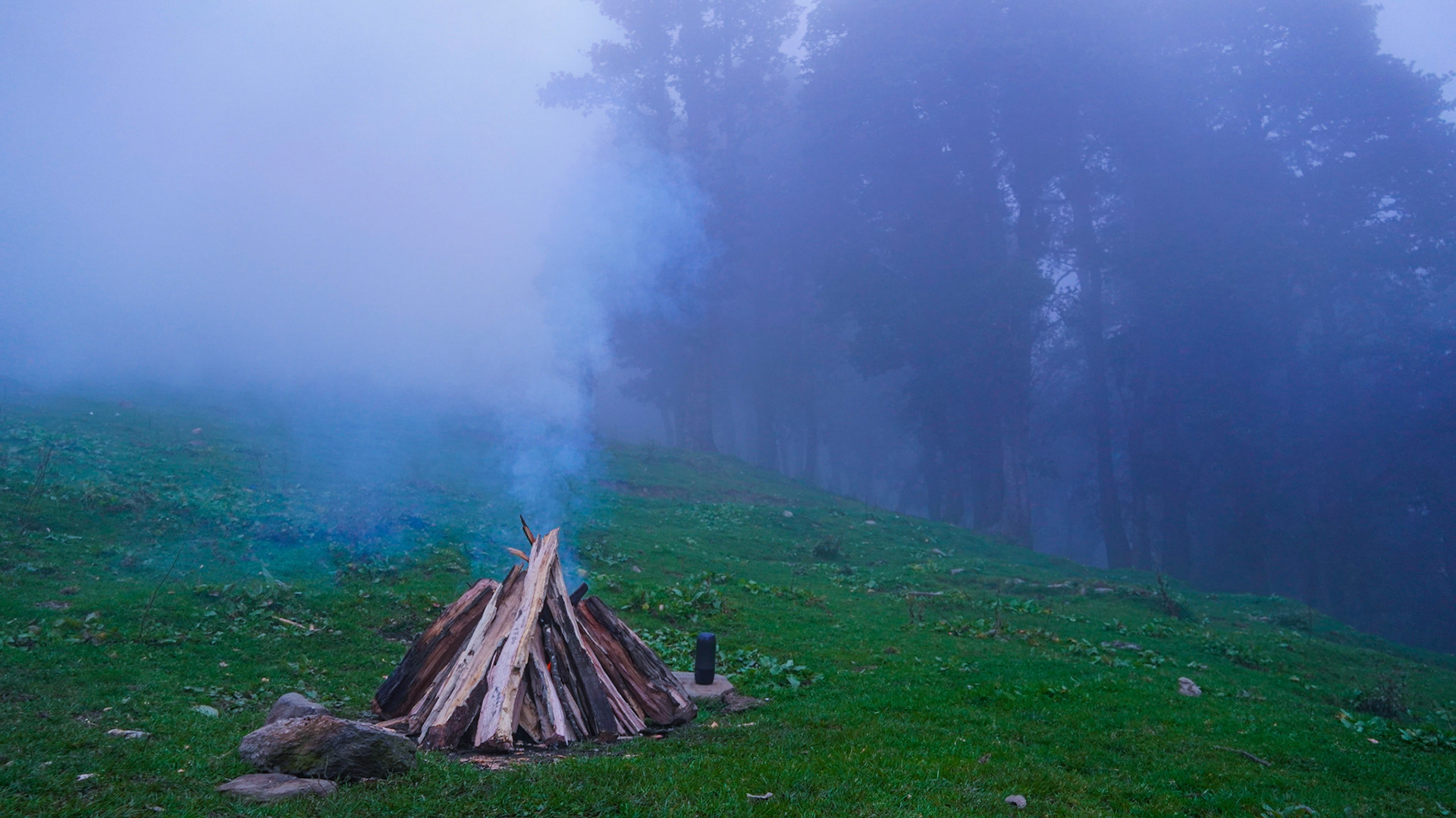 Bonfire