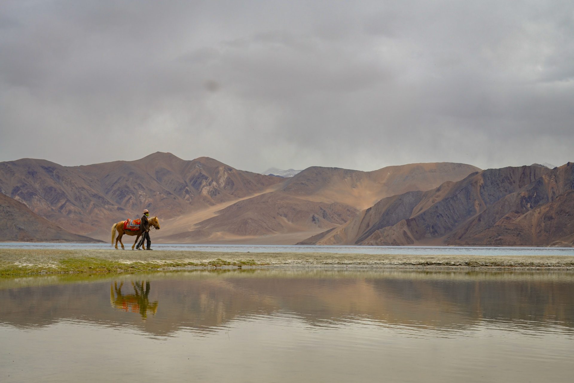 Pangong Tso