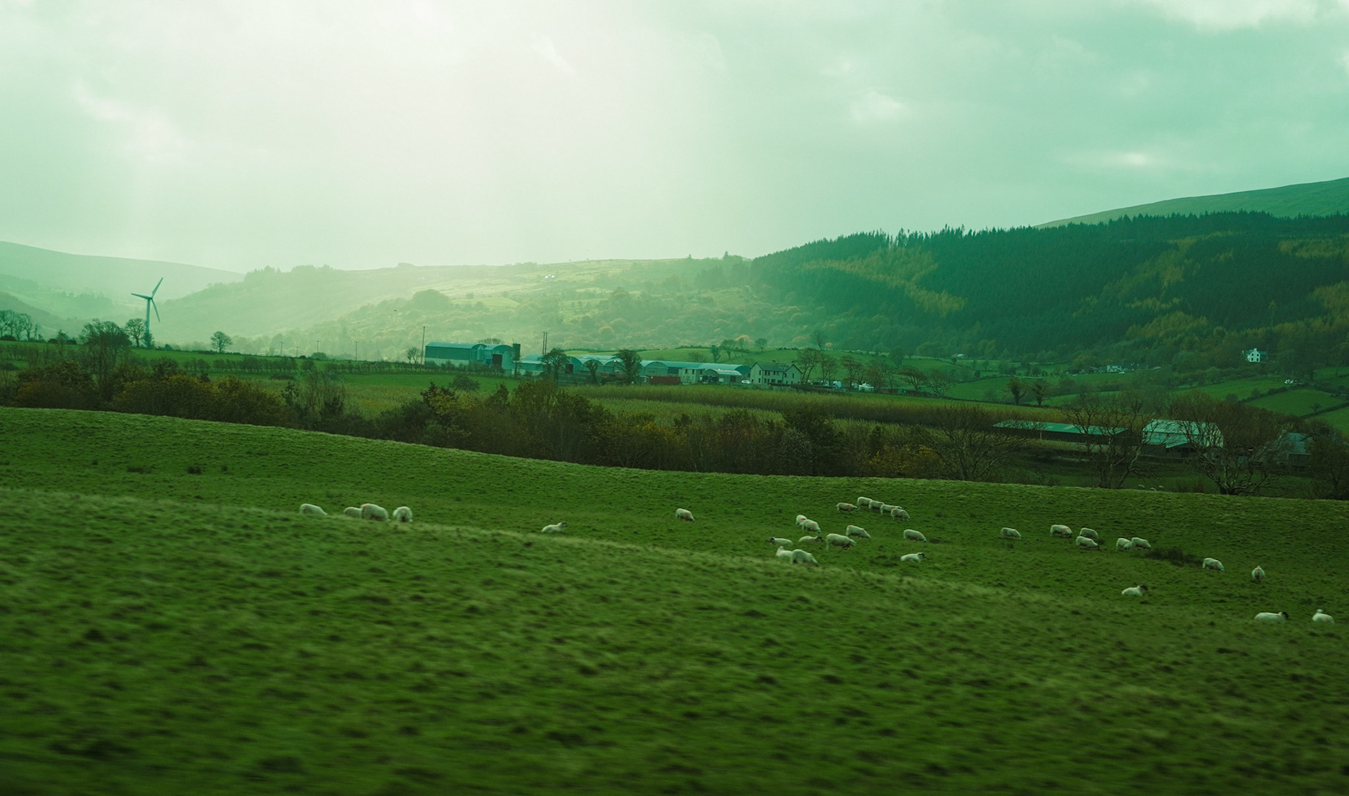 Giant's Causeway photography