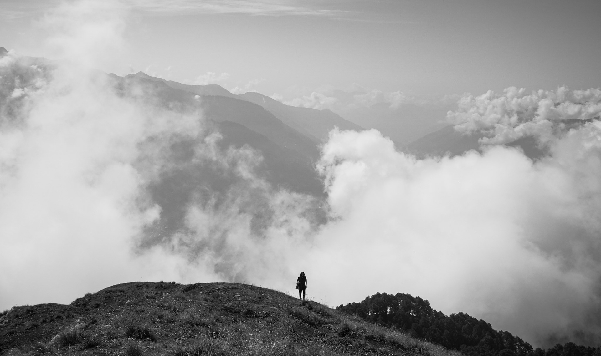 Beyond the Treeline