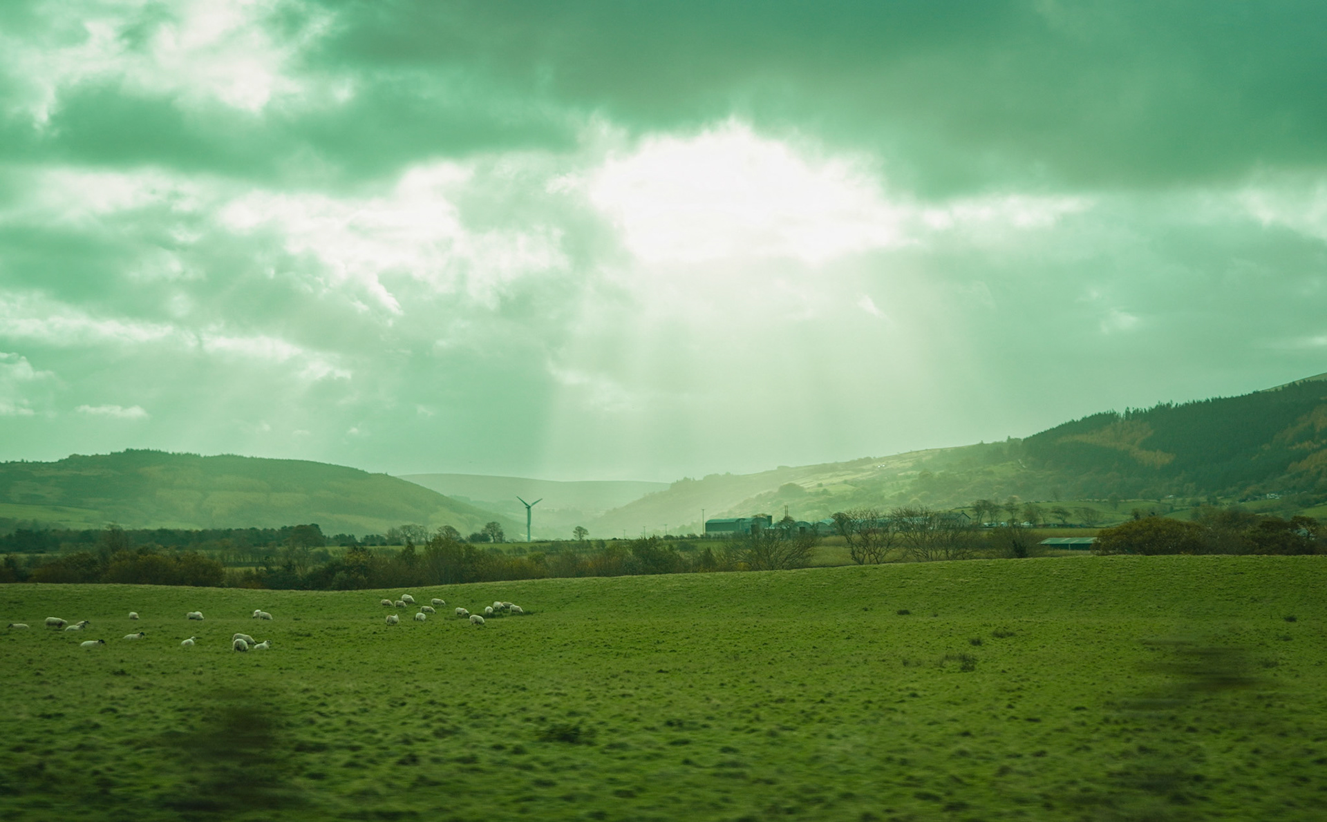 Giant's Causeway photography