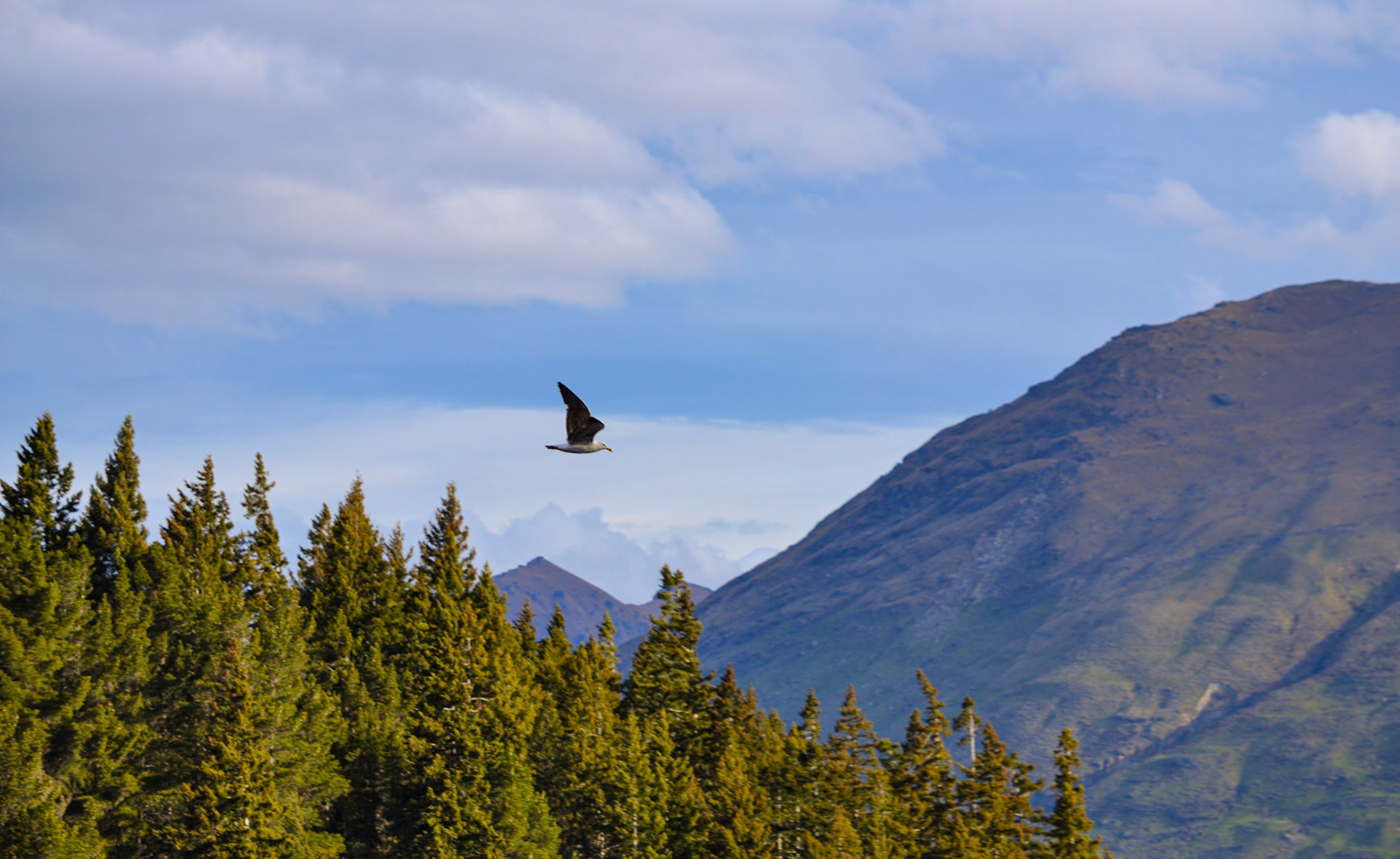 Queenstown, New Zealand