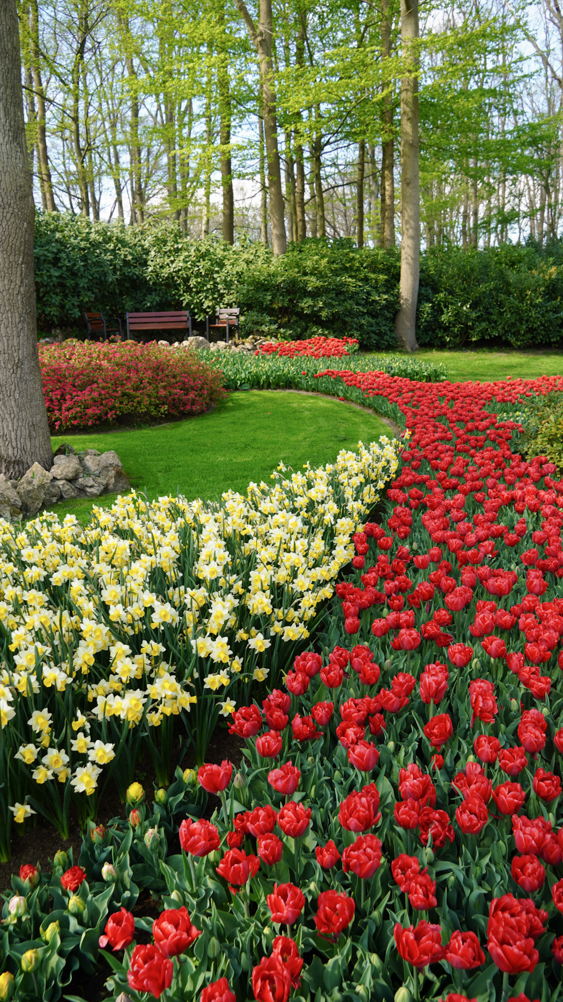 Keukenhof Tulip Gardens