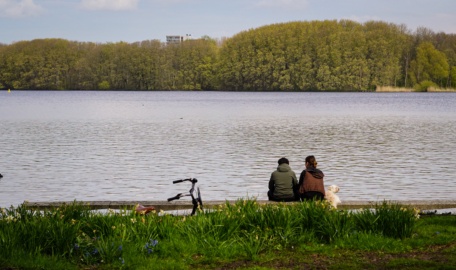 Mornings by the canal