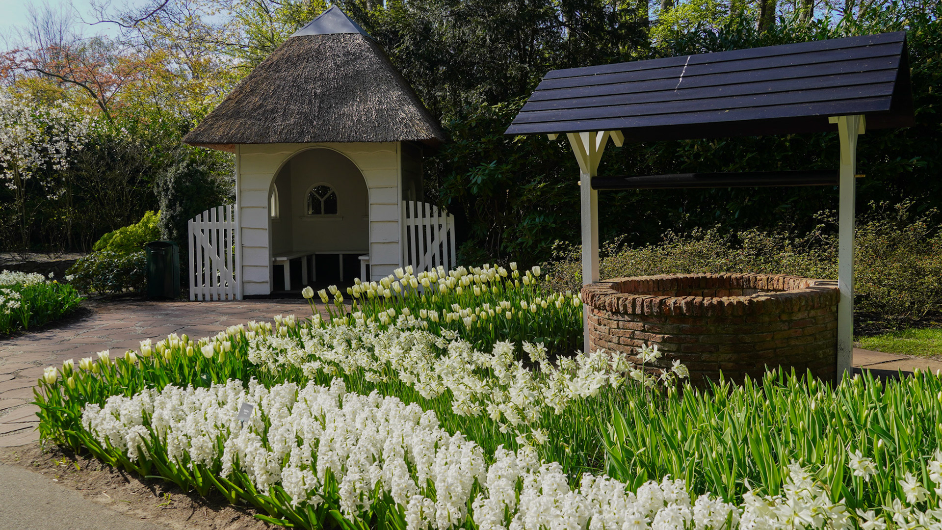 Keukenhof Tulip Gardens