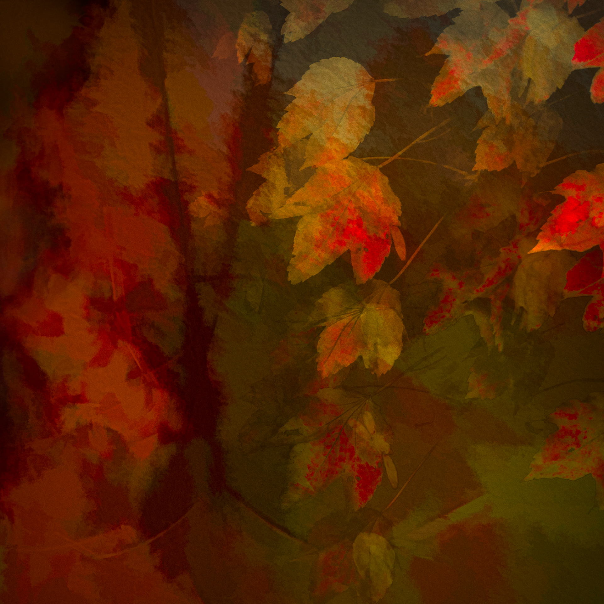 Understory II